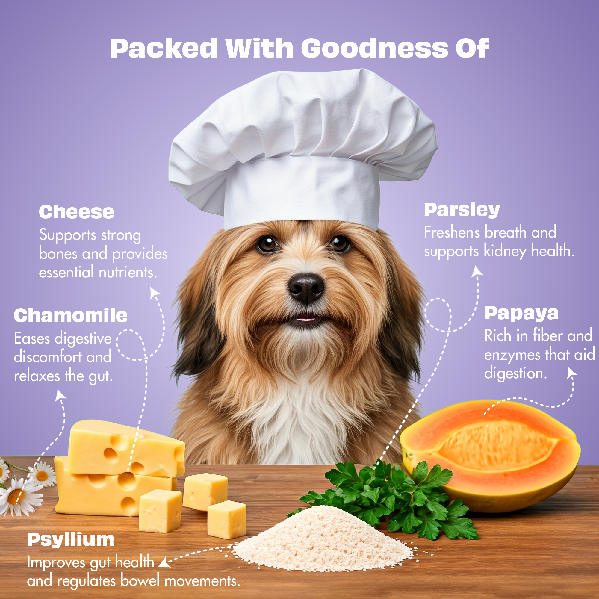 Pawfect Nature's Munch Freeze-Dried Cheese Health &amp; Digestion Treats for Dogs| 100% Natural| High Protein, Low Fat| 8 Calories per Treat| Grain-Free| Healthy Training Treat (75g/2.65oz)