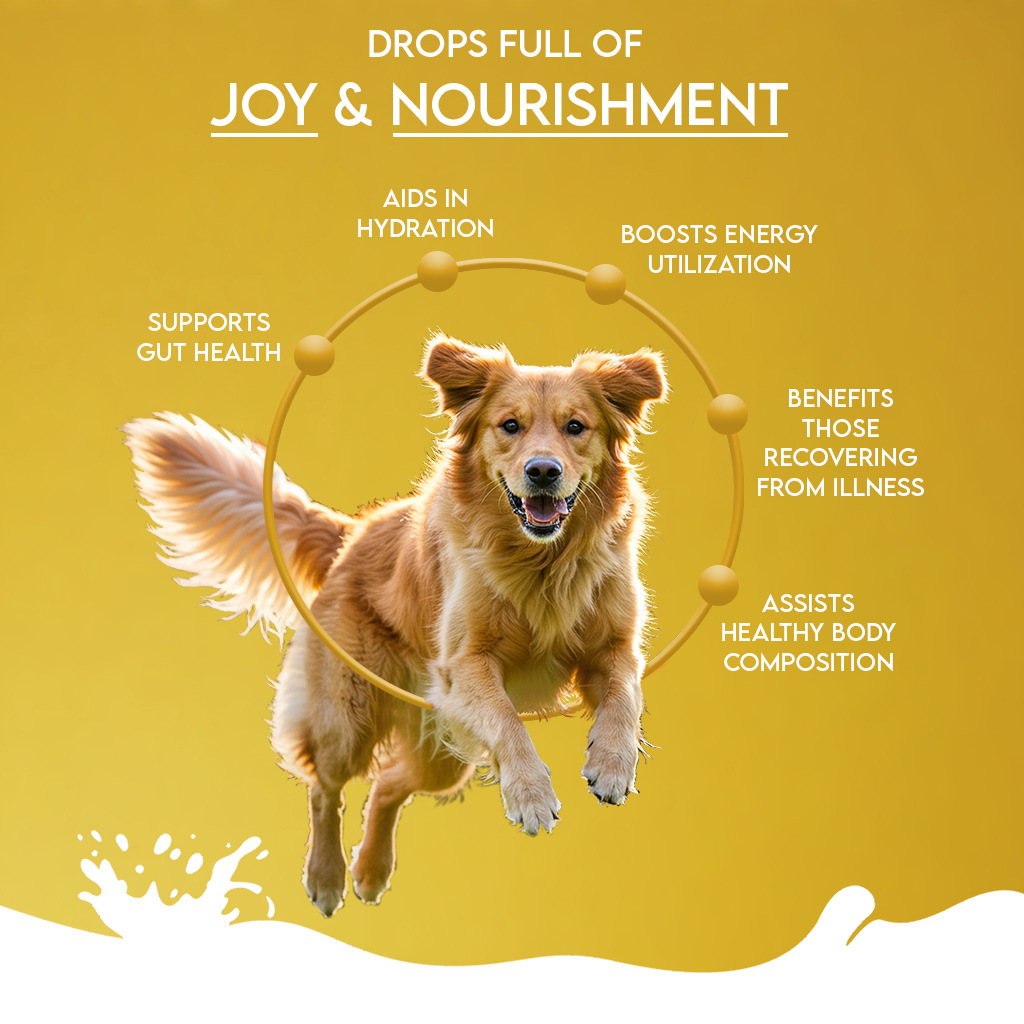 Pawfect Nature's Sip 100% Natural Camel Milk Powder for Dogs & Puppies| Easily Digestible| Source of Vitamins, Minerals, Probiotics| Healthy Topper| Hydration Support| 90 scoops| (450g/15.87oz)