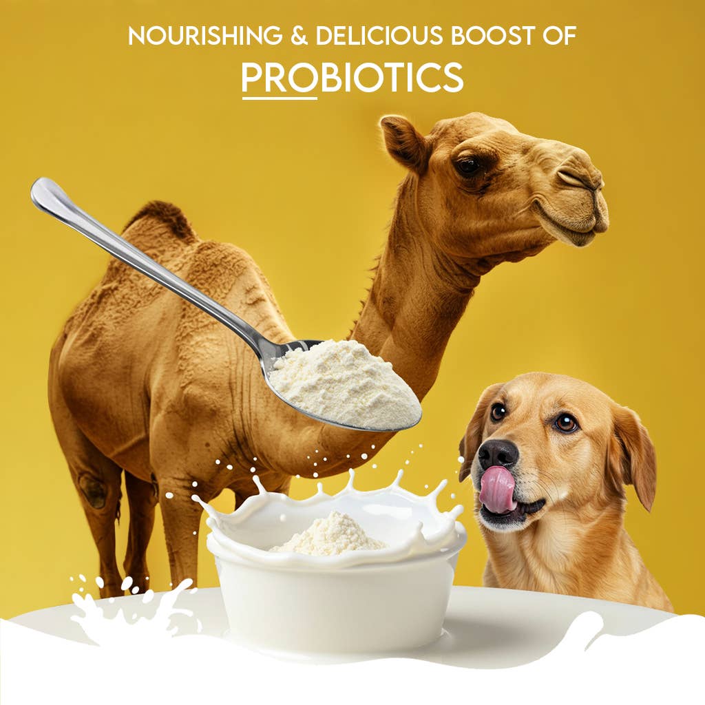Pawfect Nature's Sip 100% Natural Camel Milk Powder for Dogs &amp; Puppies| Easily Digestible| Source of Vitamins, Minerals, Probiotics| Healthy Topper| Hydration Support