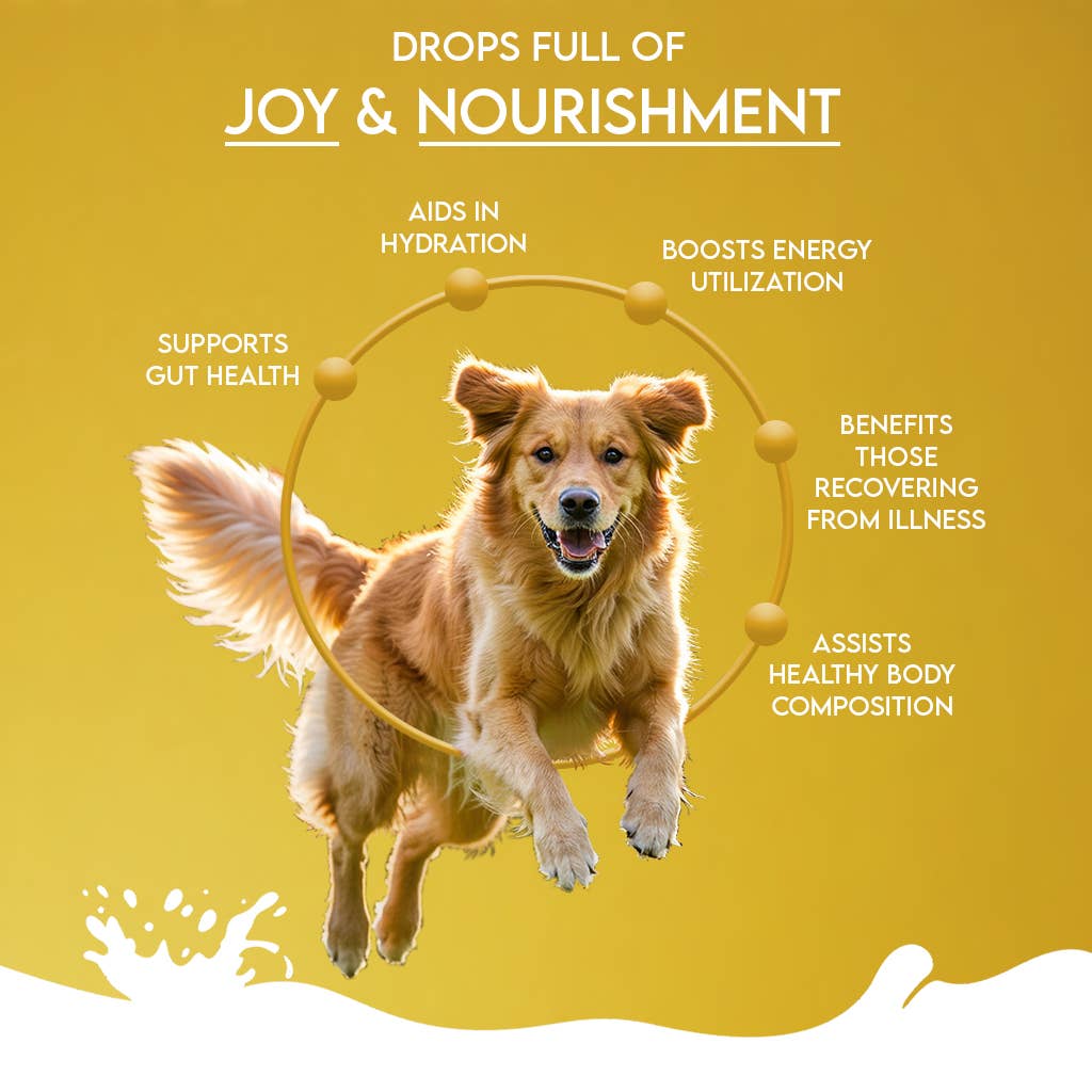 Pawfect Nature's Sip 100% Natural Camel Milk Powder for Dogs &amp; Puppies| Easily Digestible| Source of Vitamins, Minerals, Probiotics| Healthy Topper| Hydration Support