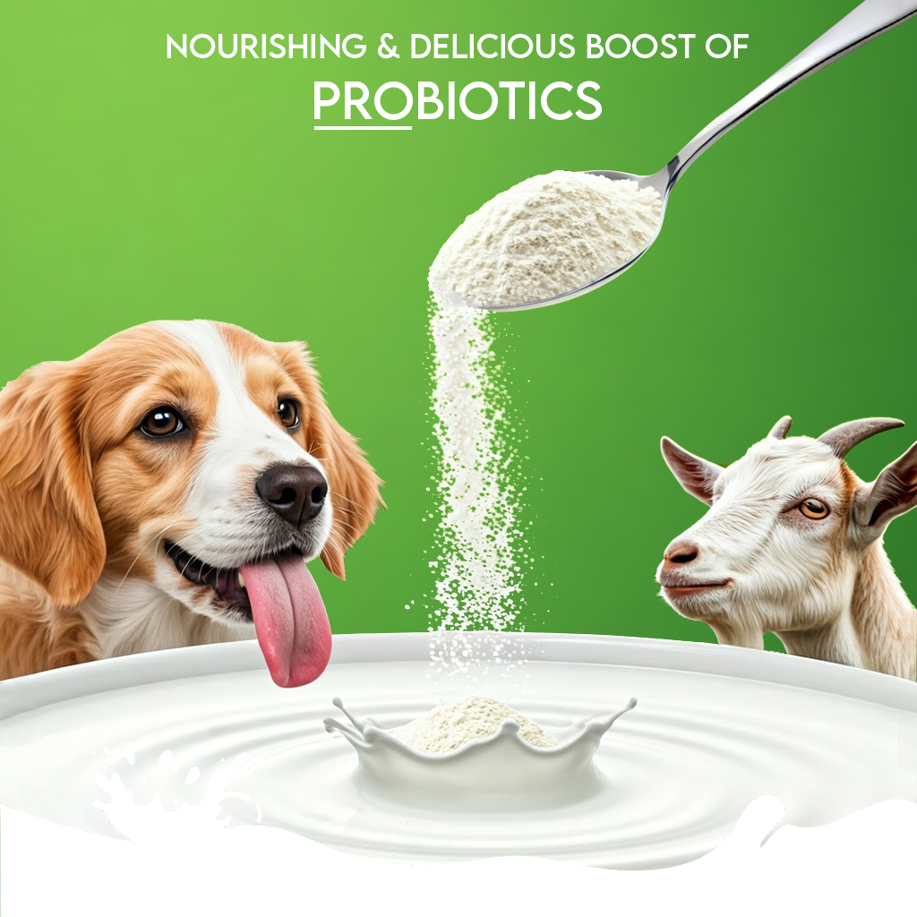 Pawfect Nature's Sip 100% Natural Goat Milk Powder for Dogs & Puppies| Easily Digestible| Source of Vitamins, Minerals, Probiotics| Healthy Topper| Hydration Support| 70 scoops| (350g/12.34oz)