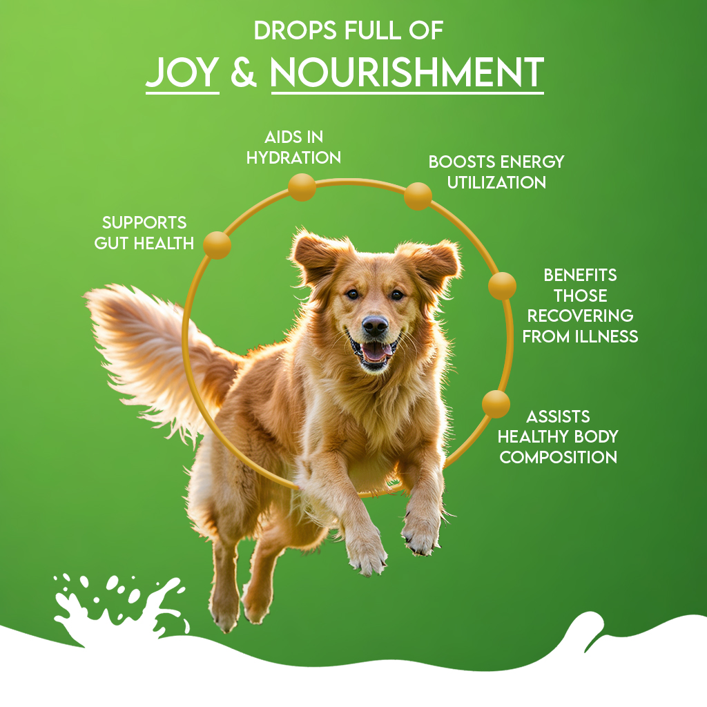 Pawfect Nature's Sip 100% Natural Goat Milk Powder for Dogs & Puppies| Easily Digestible| Source of Vitamins, Minerals, Probiotics| Healthy Topper| Hydration Support| 70 scoops| (350g/12.34oz)