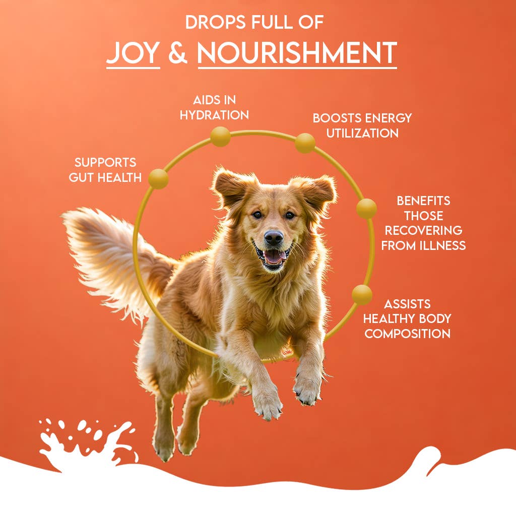 Pawfect Nature's Sip Camel Milk Powder with Papaya, Banana, Broccoli &amp; Flaxseeds| Easily Digestible| Pre &amp; Probiotics| Healthy Topper| Low Glycemic| Hydration Support