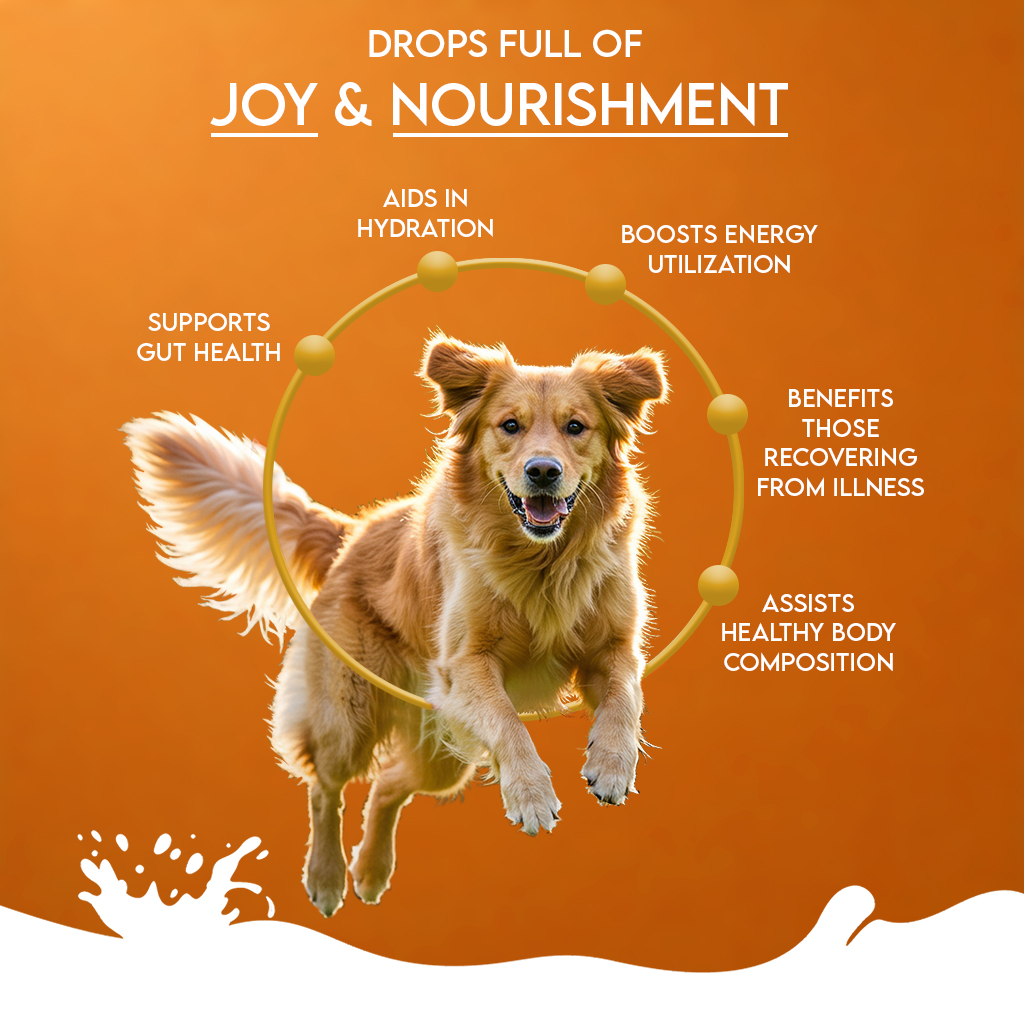 Pawfect Nature's Sip Goat Milk Powder with Pumpkin, Apple, Cinnamon & Pumpkin Seeds for Dogs| Easily Digestible| Pre & Probiotics| Healthy Topper| Hydration Support| 24 scoops(120g/4.23oz)