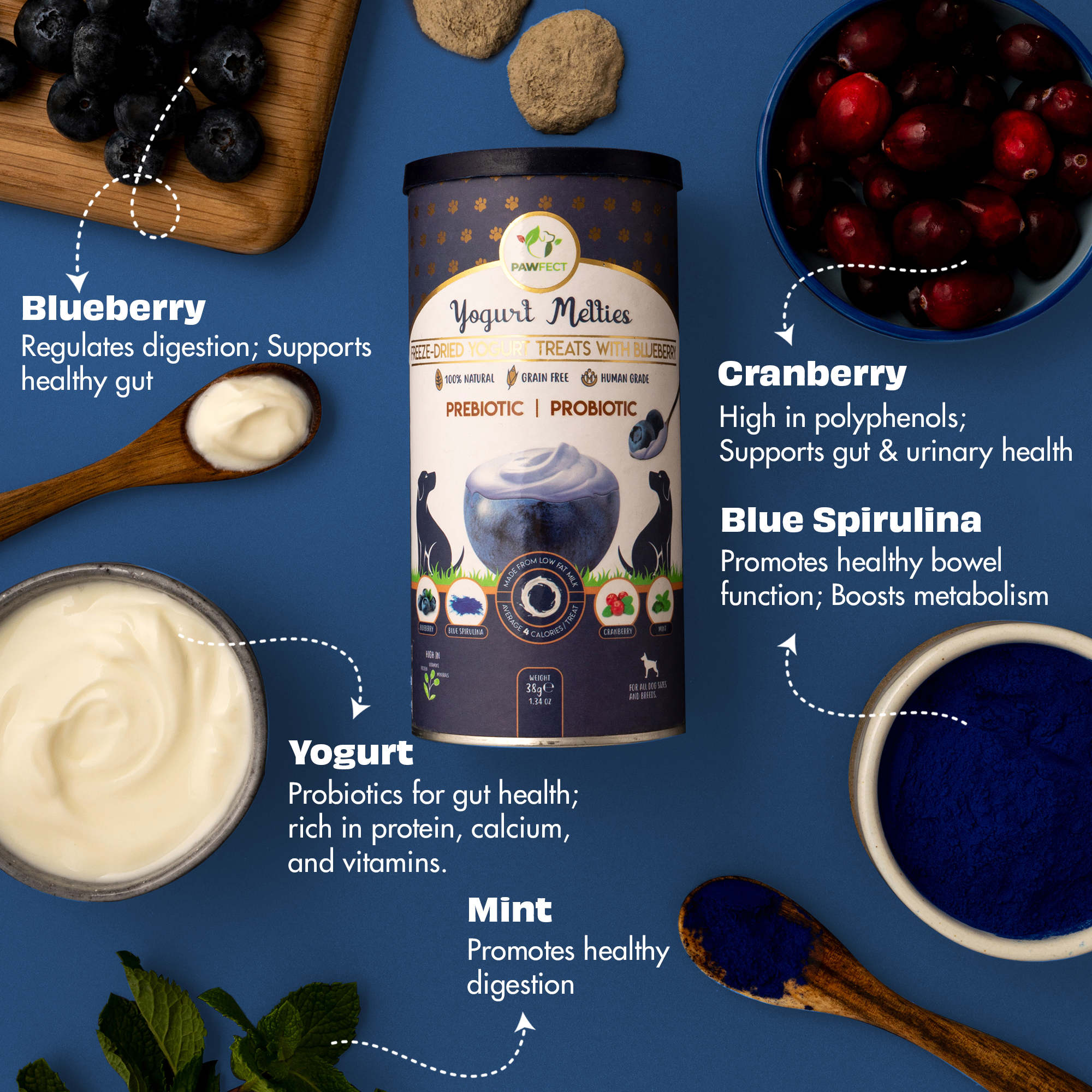 Pawfect Yogurt Melties Pre and Probiotic Dog Treats with Blueberry, Cranberry, Blue Spirulina &amp; Mint | Healthy Gut | Low Calories | Grain &amp; Gluten Free | Reward or Training Treats (38g/1.34oz)