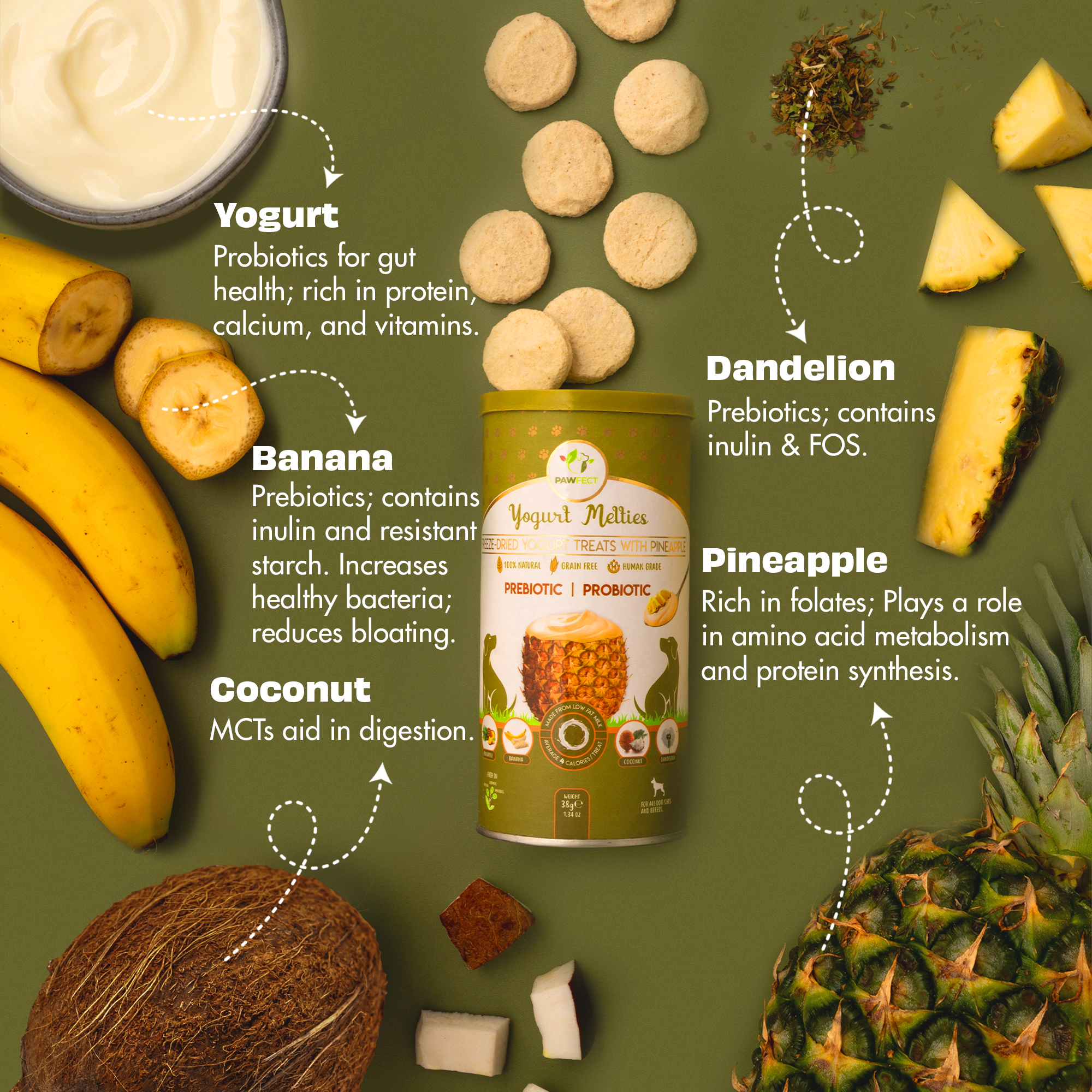 Pawfect Yogurt Melties Pre and Probiotic Dog Treats with Pineapple, Coconut, Banana, Dandelion | Healthy Gut l Low Calories | Grain &amp; Gluten Free | Reward or Training Treats (38g/1.34oz)
