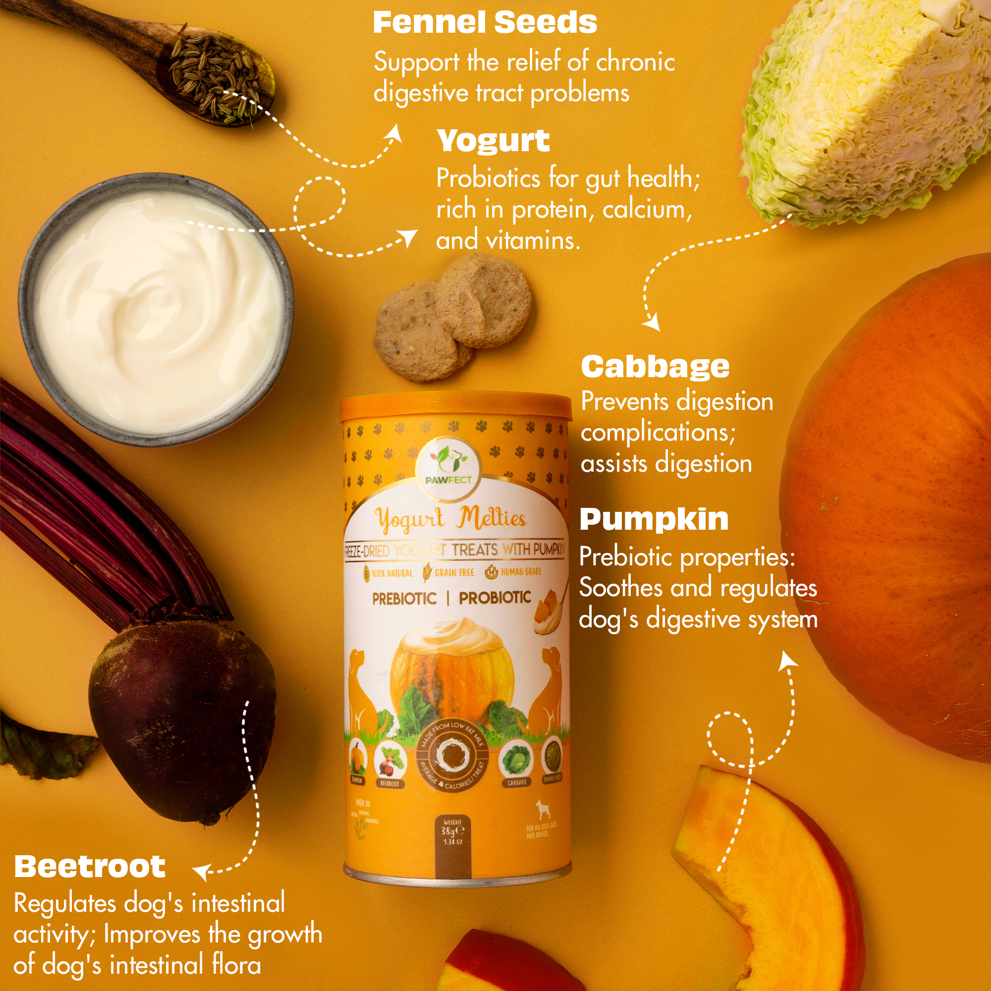 Pawfect Yogurt Melties Pre and Probiotic Dog Treats with Pumpkin, Beetroot, Cabbage &amp; Fennel Seeds | Healthy Gut | Low Calories | Grain &amp; Gluten Free | Reward or Training Treats (38g/1.34oz)
