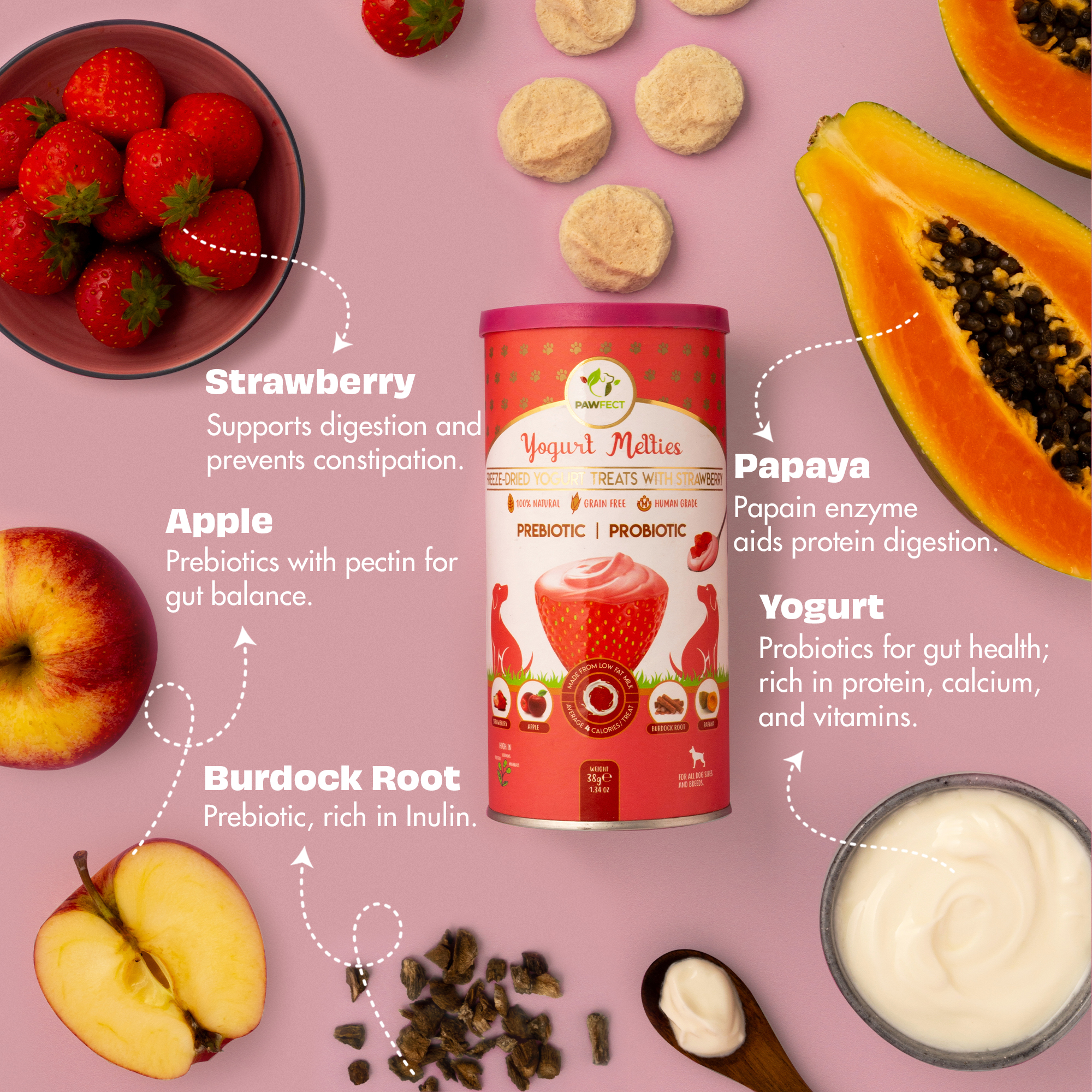 Pawfect Yogurt Melties Pre and Probiotic Dog Treats with Strawberry, Apple, Papaya &amp; Burdock Root | Healthy Gut | Low Calories | Grain &amp; Gluten Free | Reward or Training Treats (38g/1.34oz)