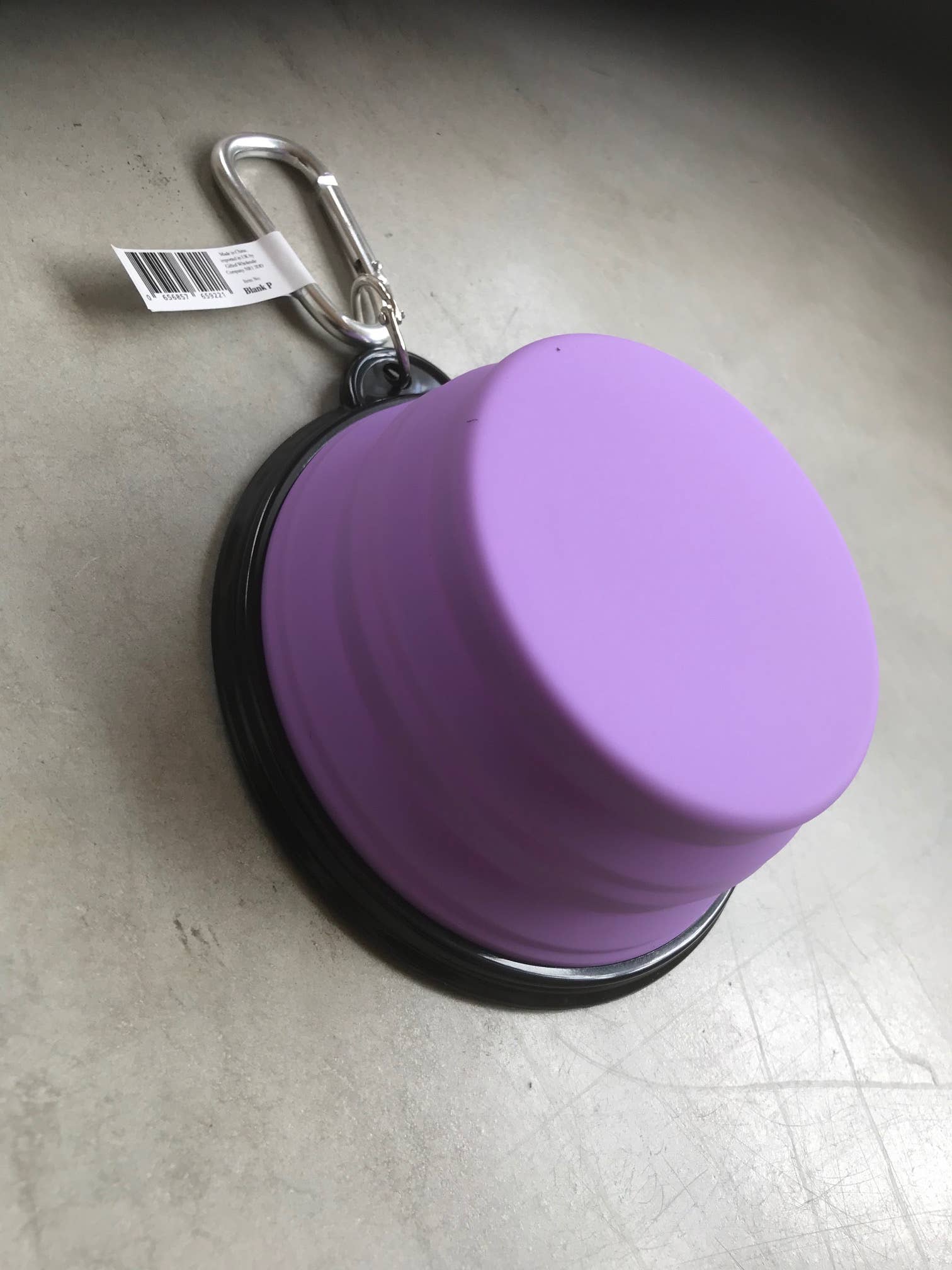 Purple Travel Pet Bowl