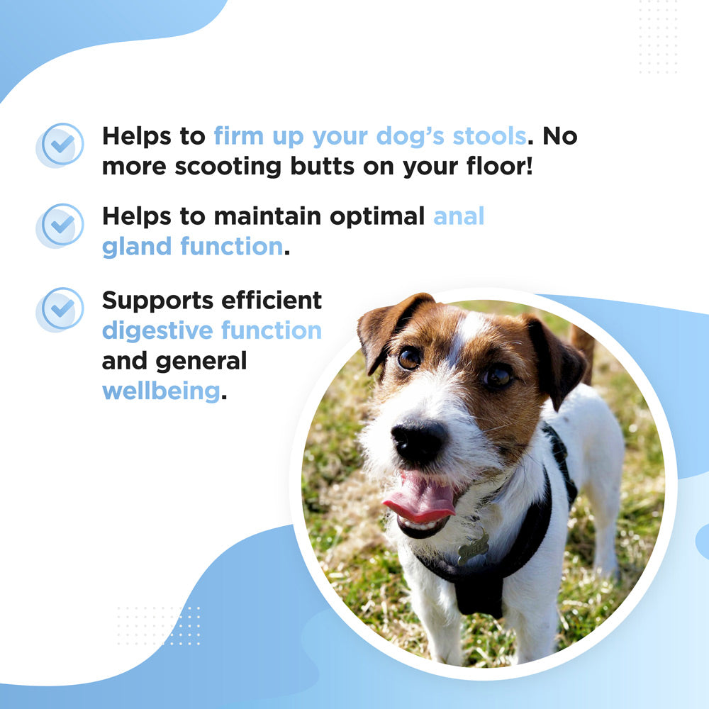 SCOOTER – Anal Gland Supplement for Dogs &amp; Puppies
