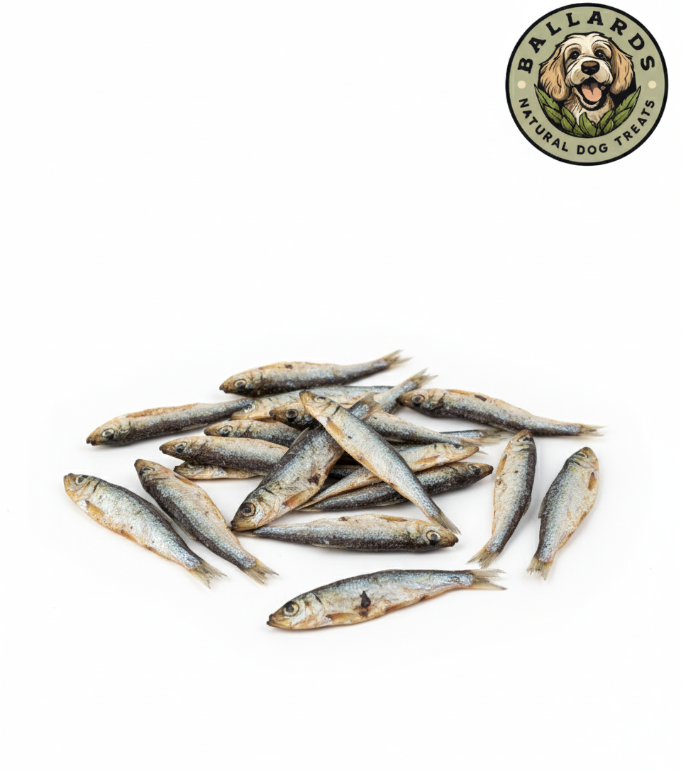 Sprats Dog Treats 500g