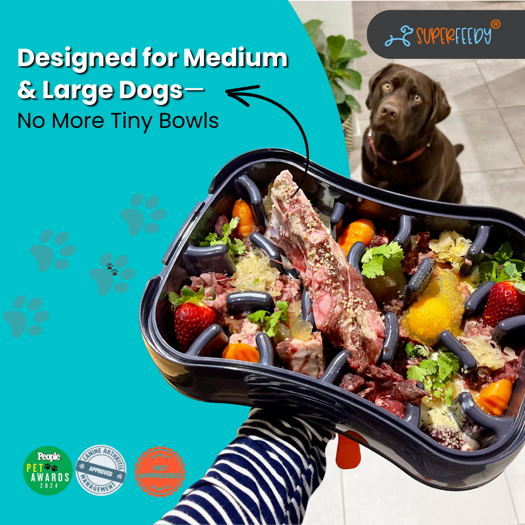 Super Feedy Marley Slowappy Slow Feeder Bowl (Salmon)