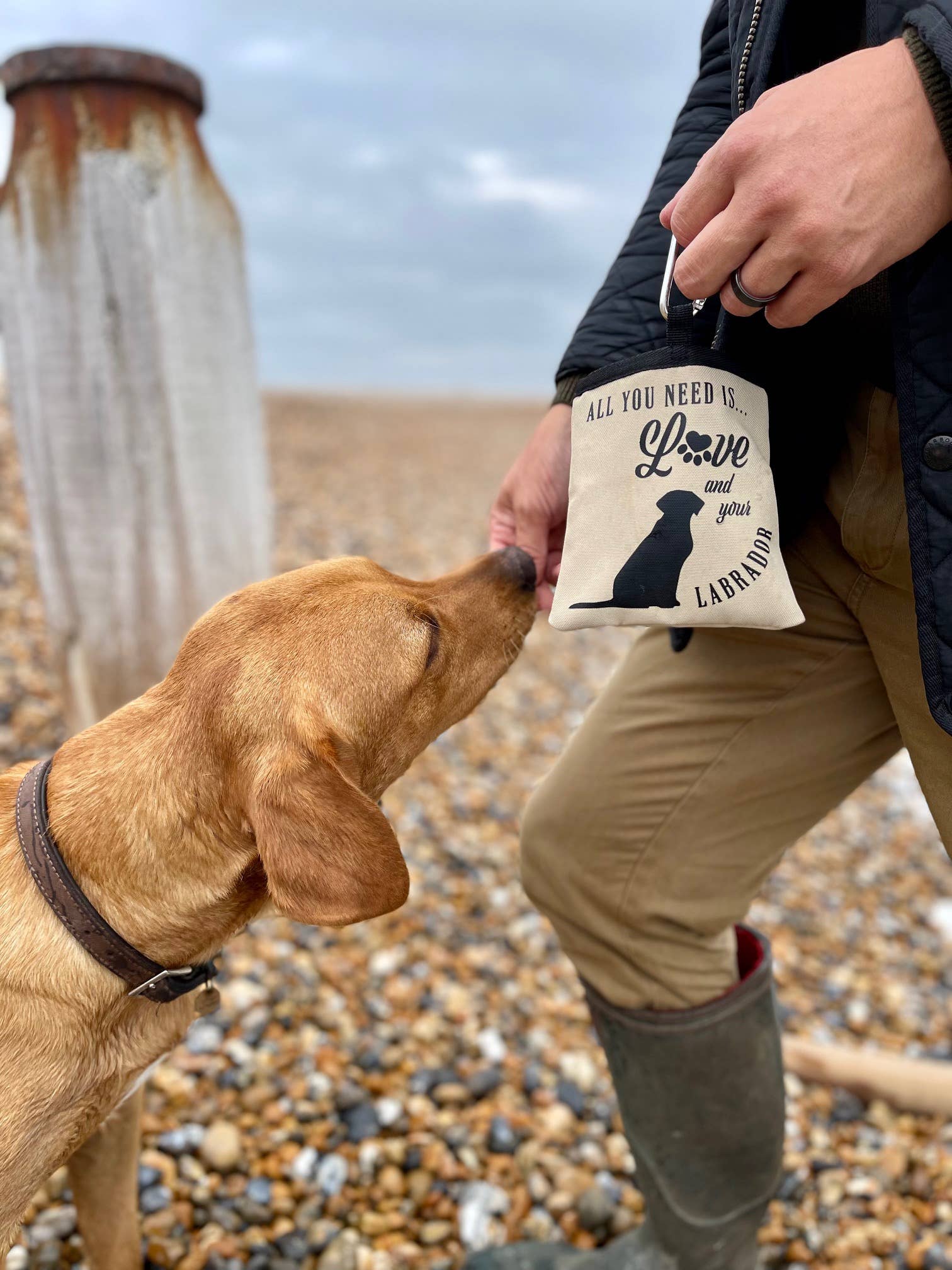 Whippet Treat Bag