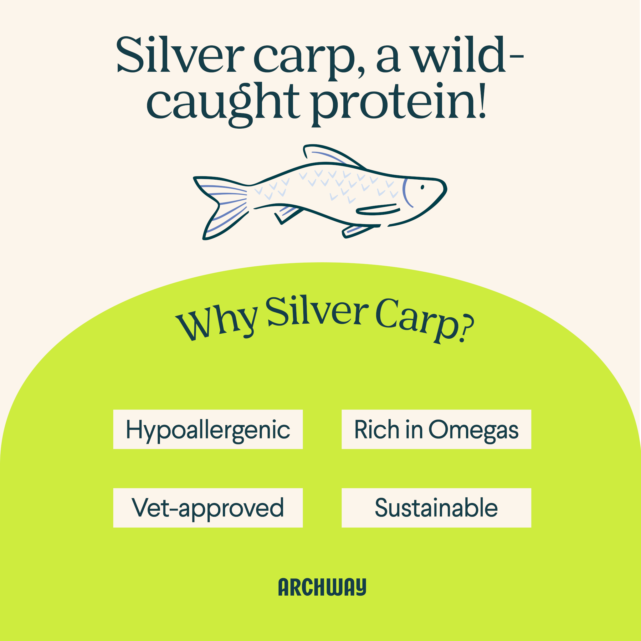 Wild Caught Invasive Silver Carp Fish - Hypoallergenic Treats for Dogs (Single Ingredient)