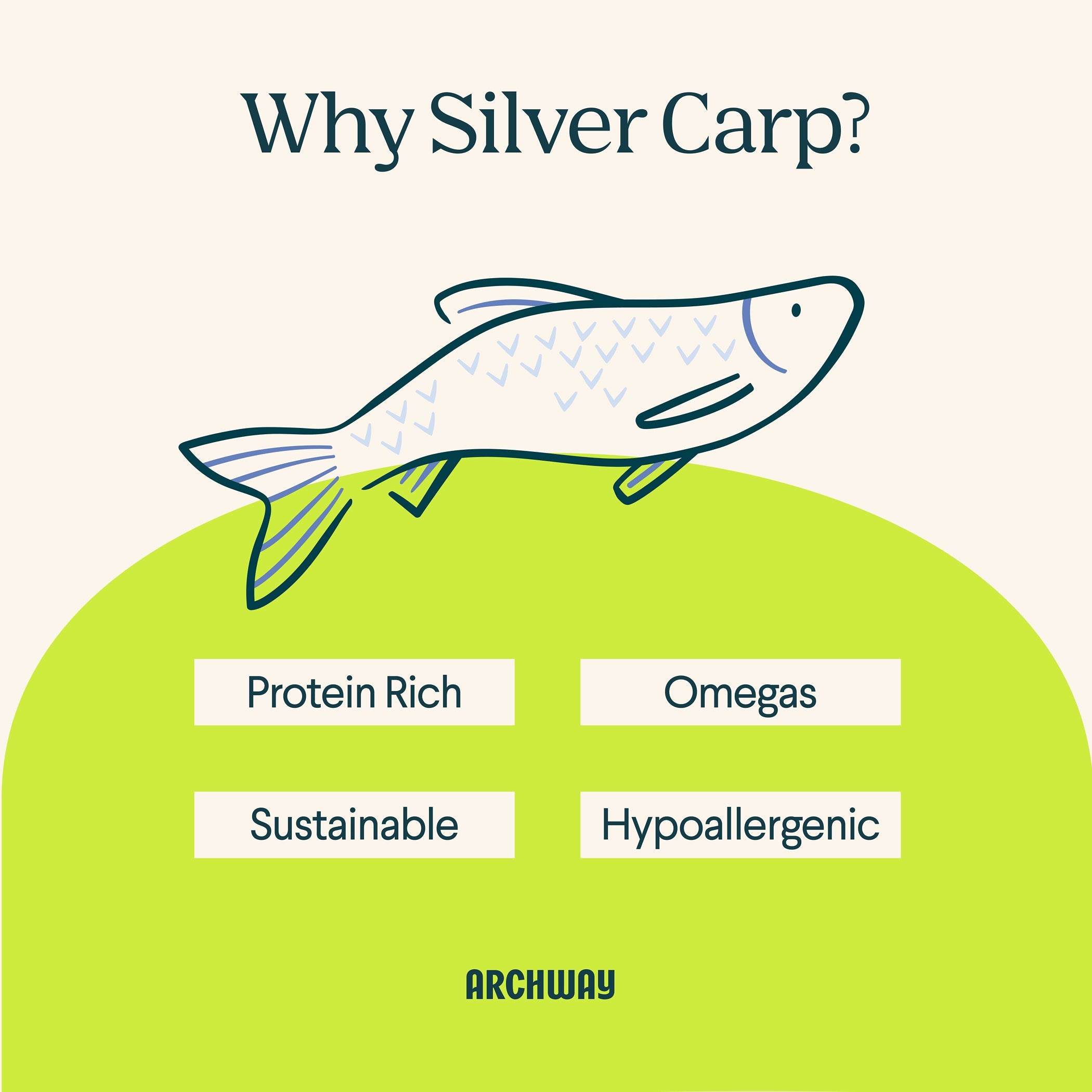 Wild Caught Invasive Silver Carp Fish - Hypoallergenic Treats for Dogs (Single Ingredient)