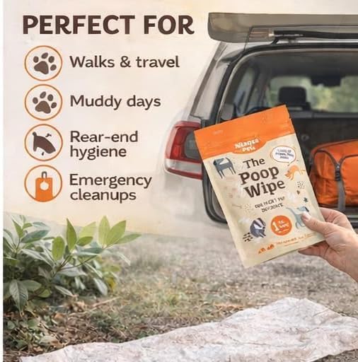 Big Poop Wipe XXL Biodegradable Dog Cleaning Wipe 90 x 32cm (Pack of 3)