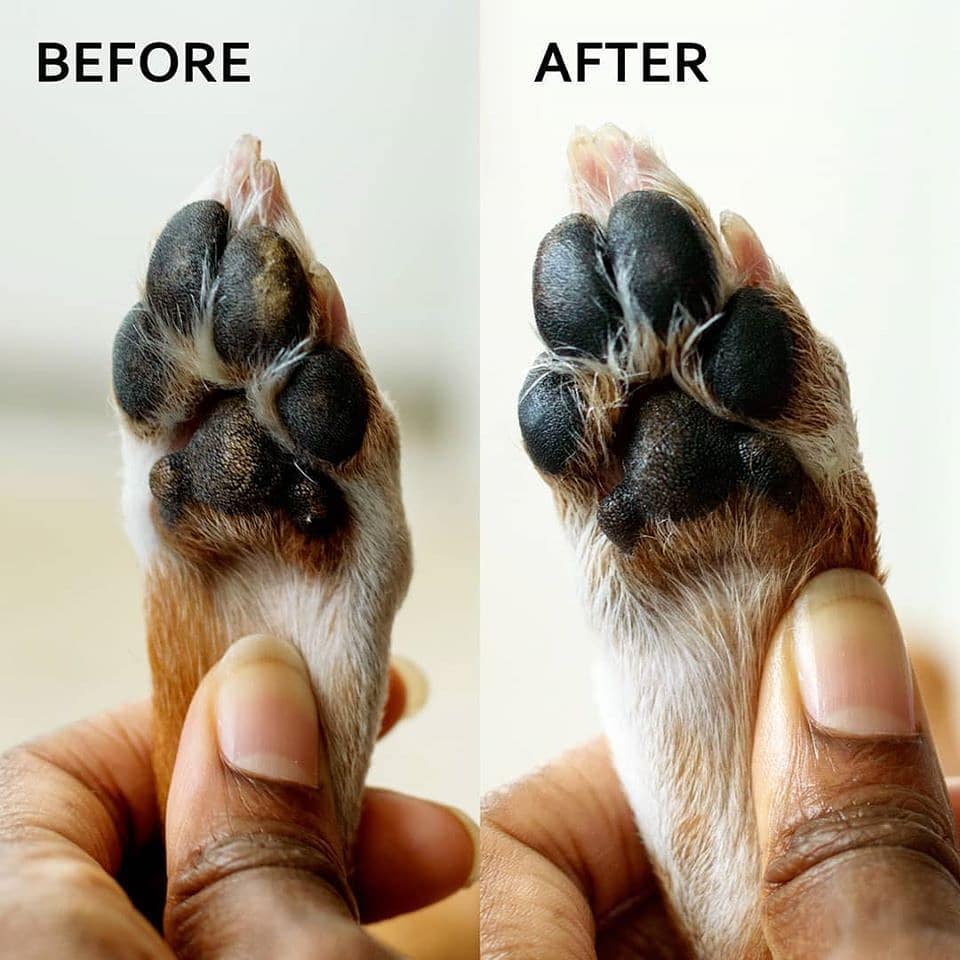 Calendula Dog Paw Balm for Dry, Itchy, Cracked, & Rough Paw Pads