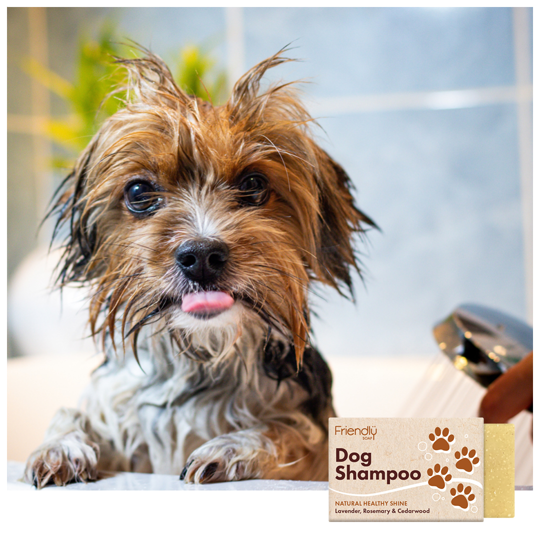 Dog Shampoo (6 x 95g)