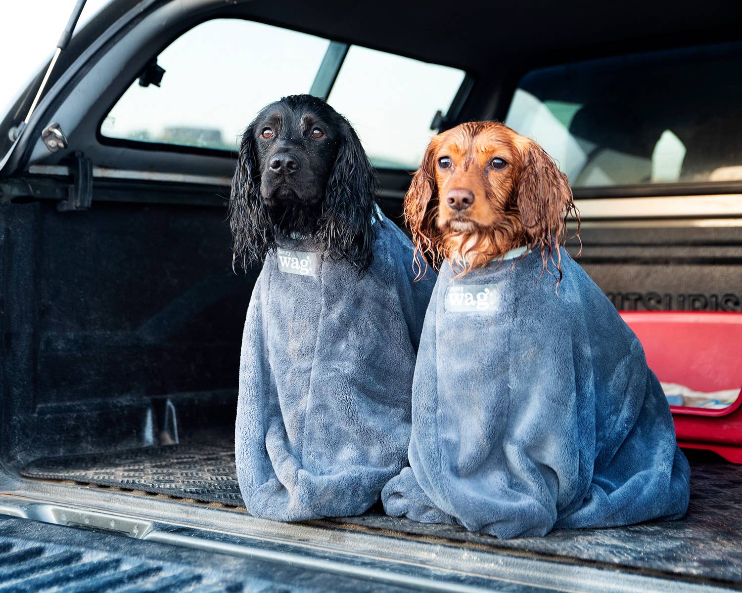 Henry Wag Dog Drying Bag