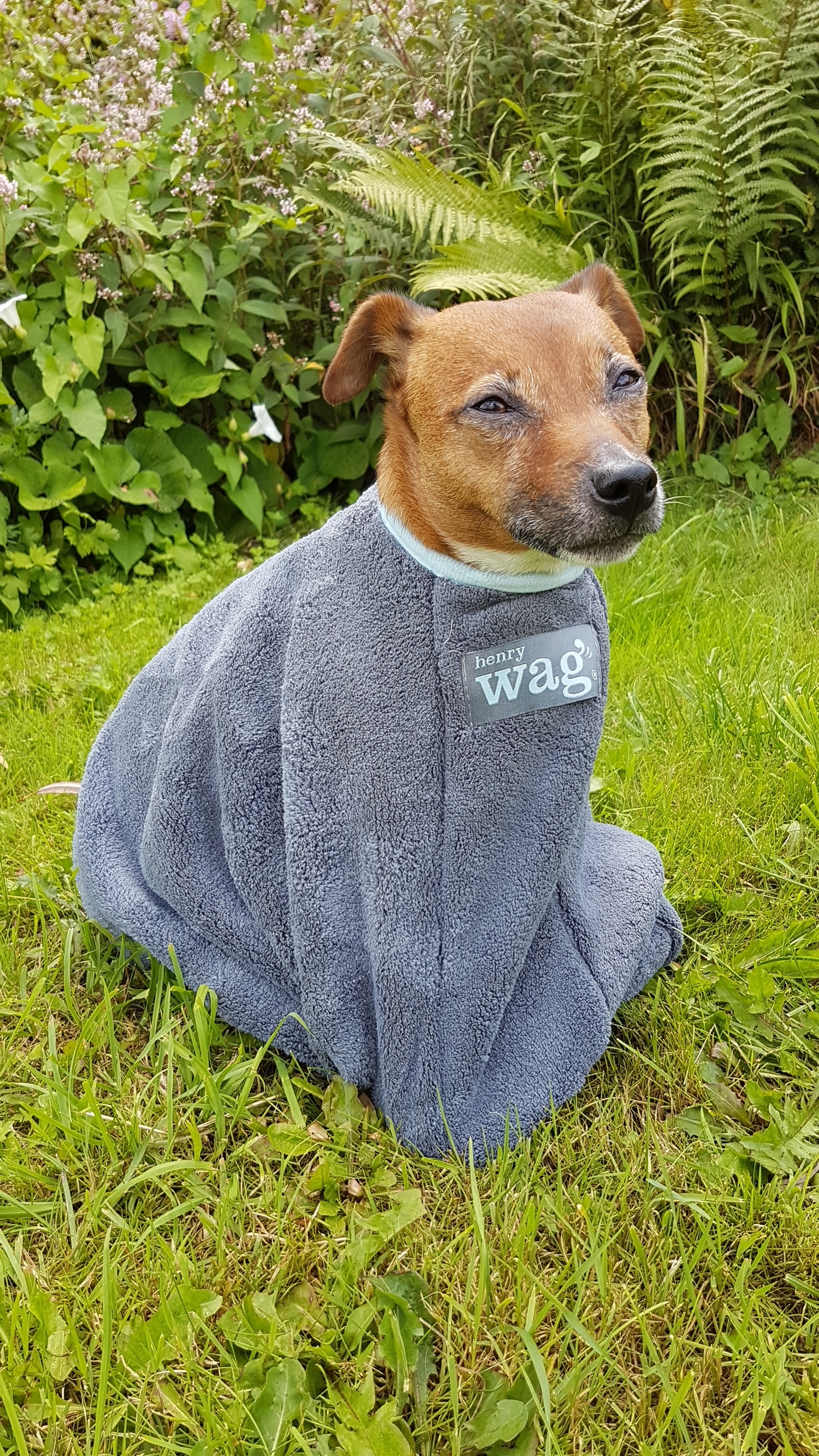 Henry Wag Dog Drying Bag