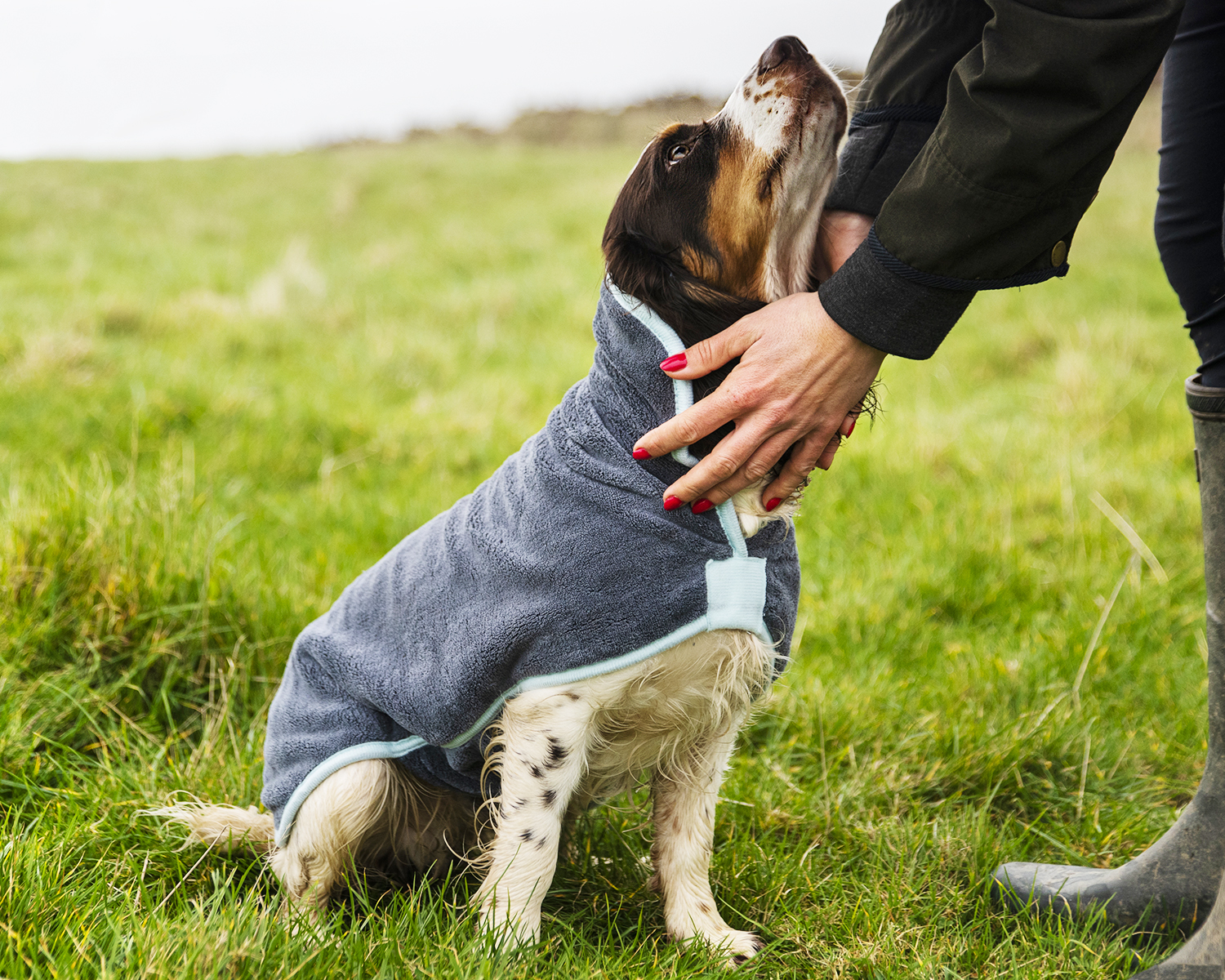 Henry Wag Dog Drying Coat