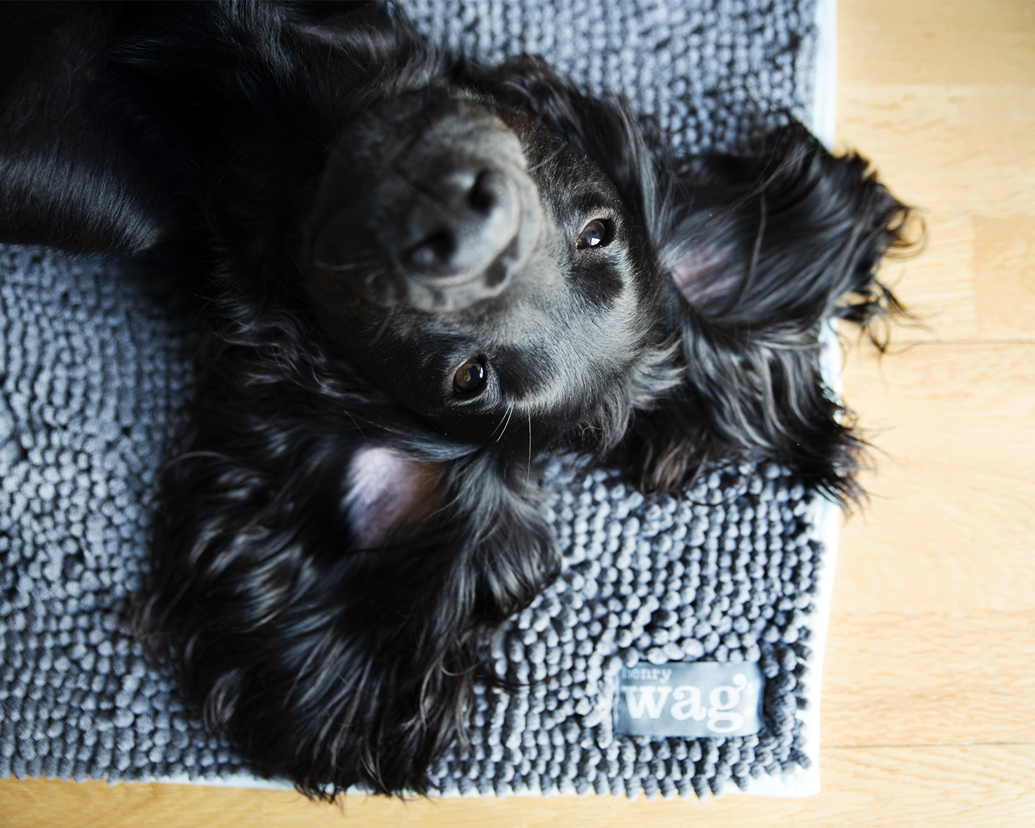 Henry Wag Microfibre Noodle Pet Mat