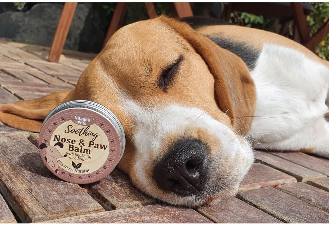Natural Nose & Paw Balm Soothing Jojoba (Single)