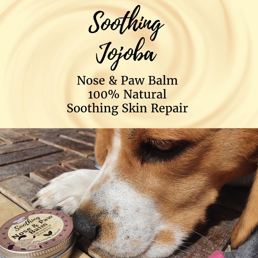 Natural Nose & Paw Balm Soothing Jojoba (Single)