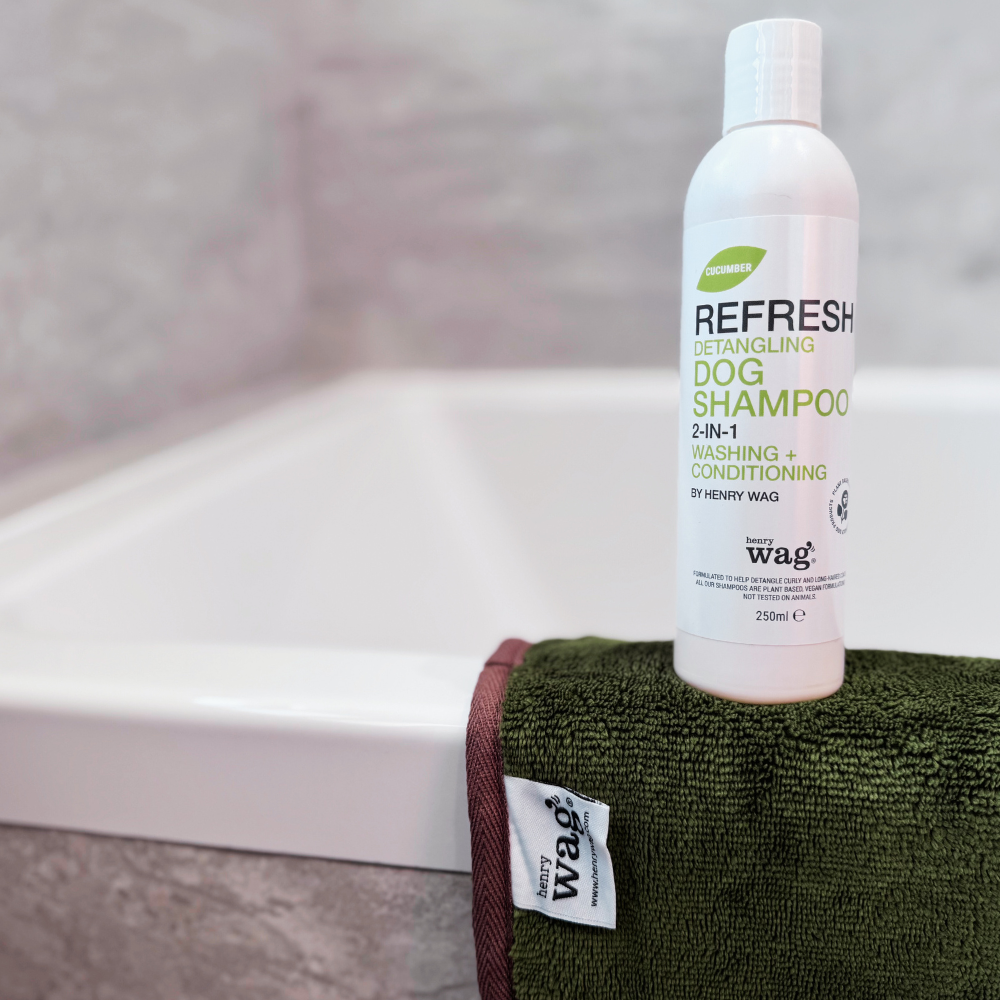 Refresh Cucumber Detangling 2 in 1 Shampoo and Conditioner