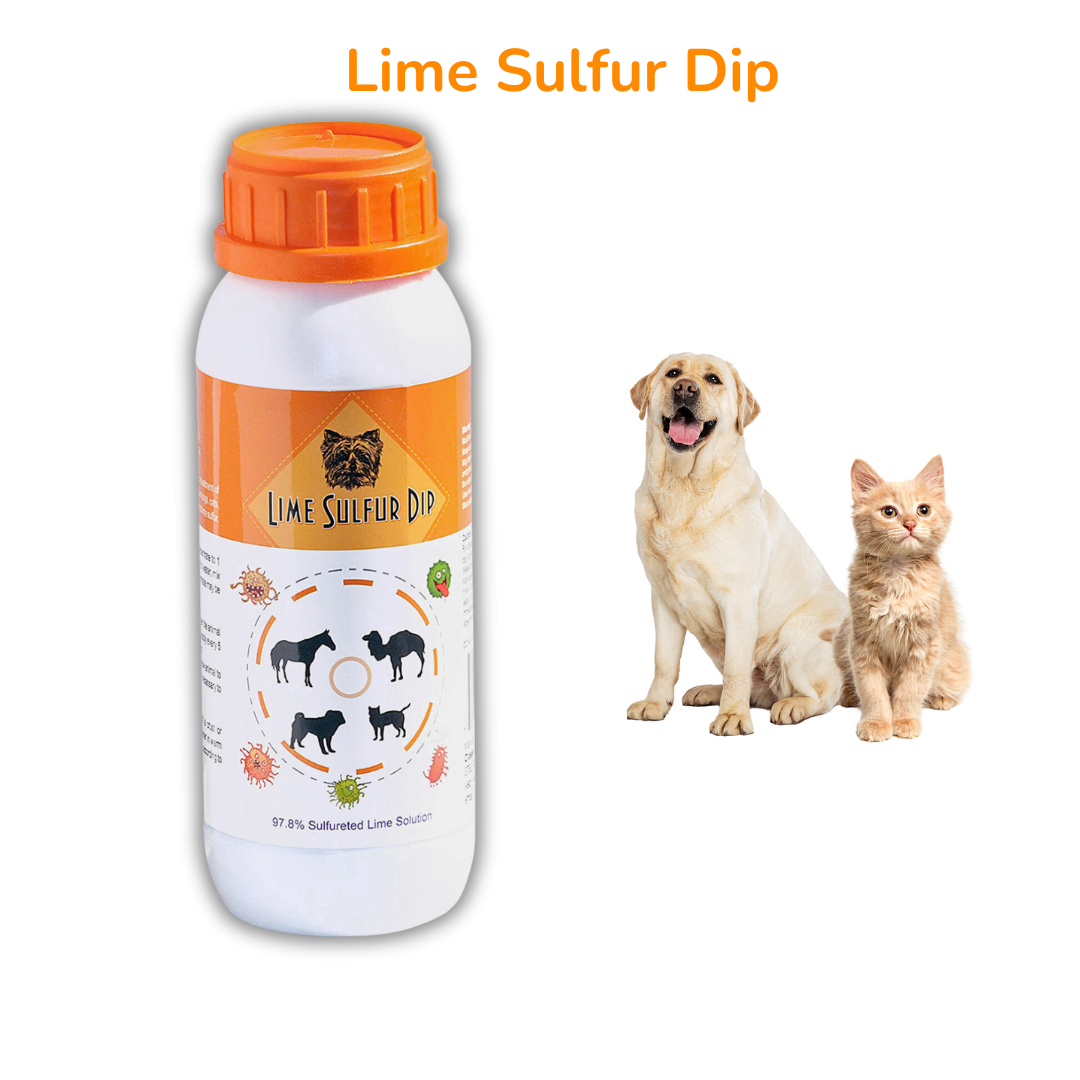 Skin &amp; Coat Care Combo - Lime Sulfur Dip  and Sulfur Dog Shampoo