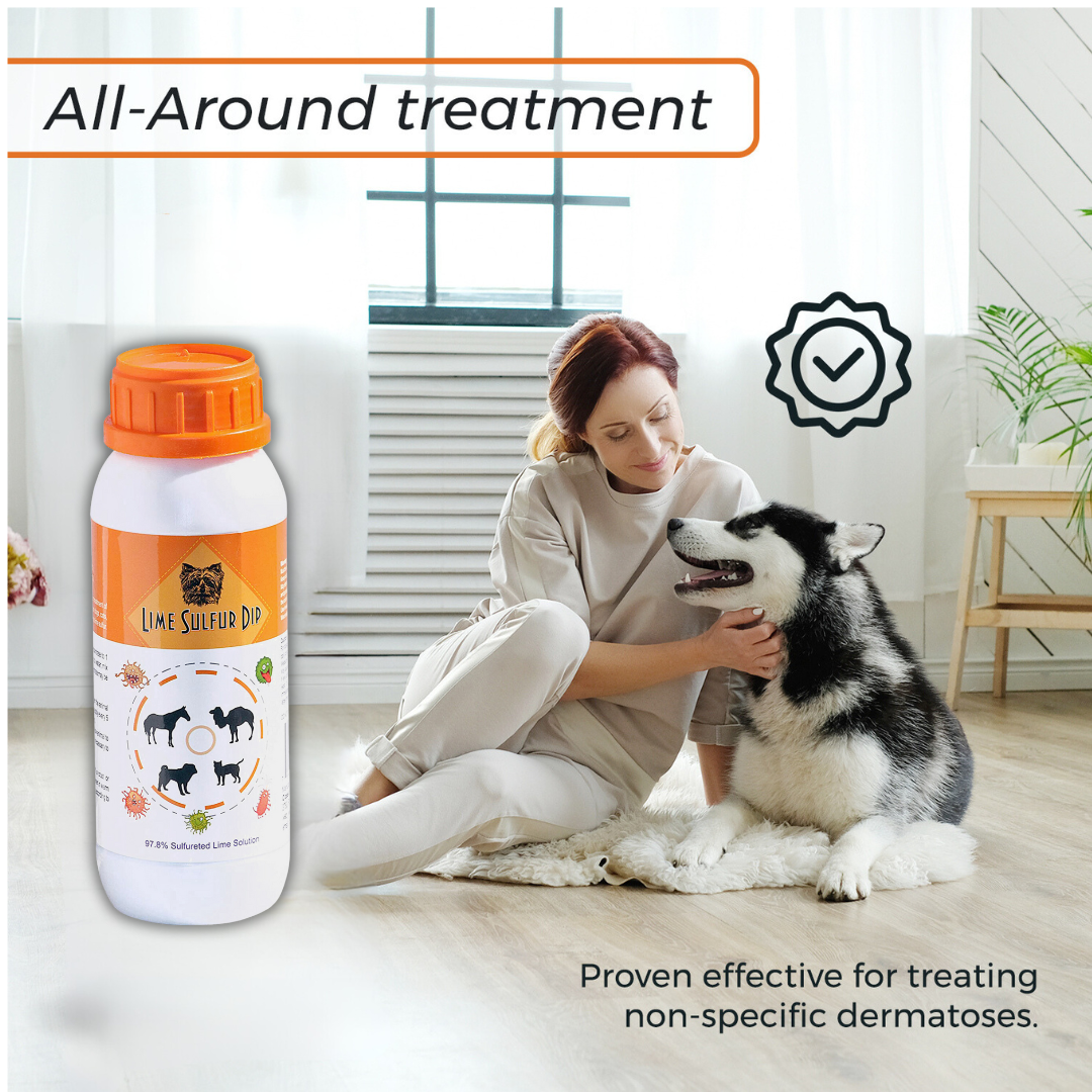 Skin &amp; Coat Care Combo - Lime Sulfur Dip  and Sulfur Dog Shampoo