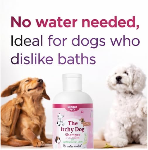 The Itchy Dog Shampoo 240ml (Single)