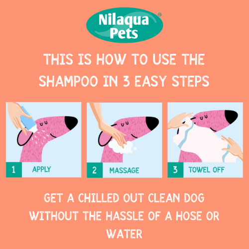 The Poop Dog Shampoo 500ml (Case of 6)
