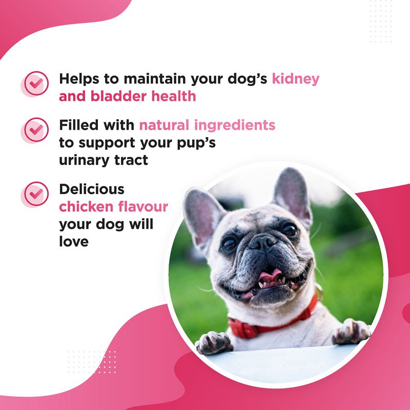 BERRI – Bladder &amp; Kidney Cranberry Supplement for Dogs