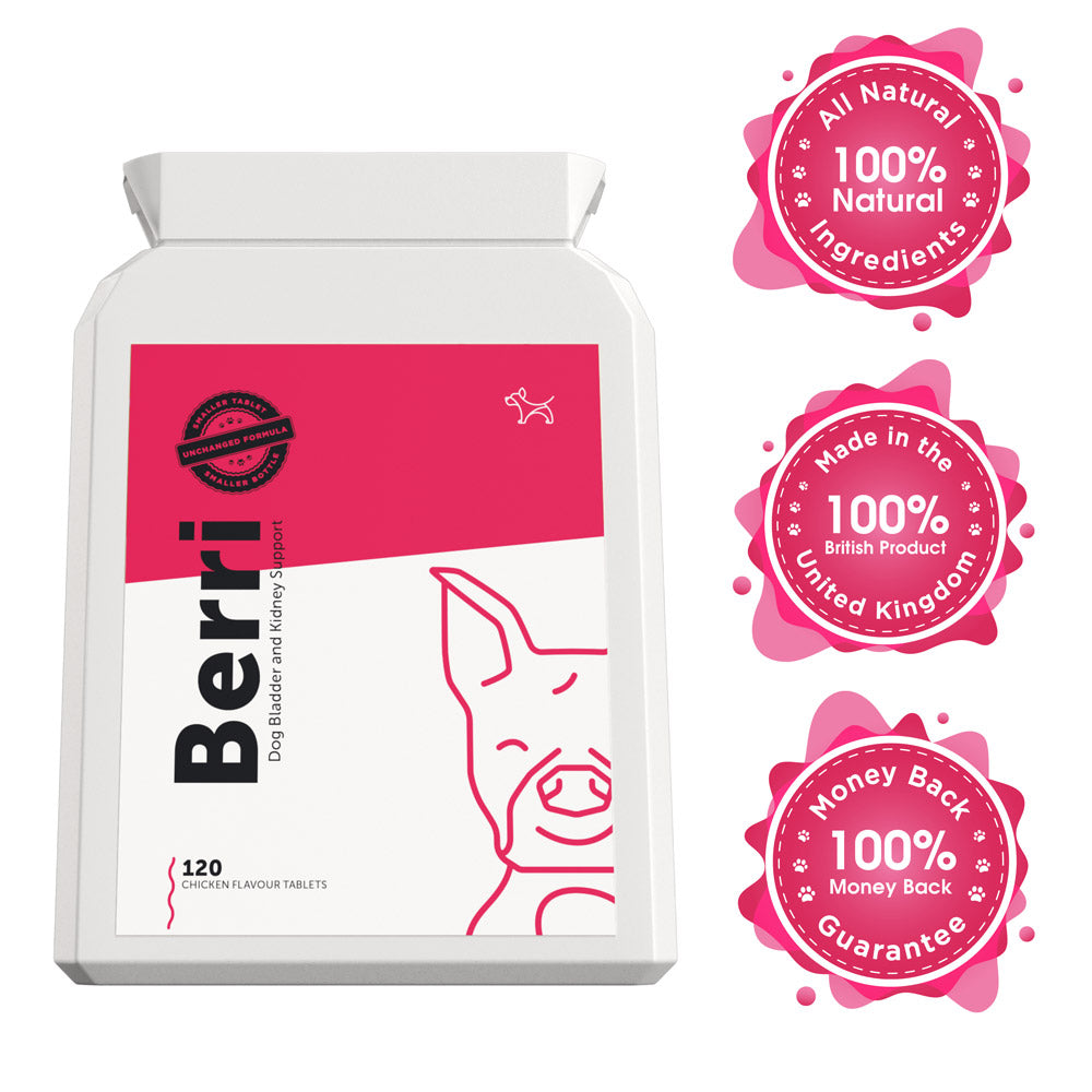 BERRI – Bladder &amp; Kidney Cranberry Supplement for Dogs