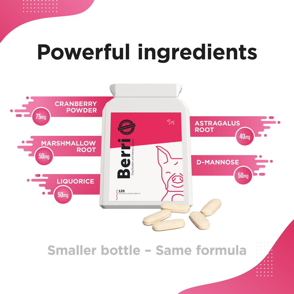 BERRI – Bladder &amp; Kidney Cranberry Supplement for Dogs
