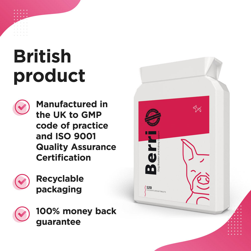 BERRI – Bladder &amp; Kidney Cranberry Supplement for Dogs