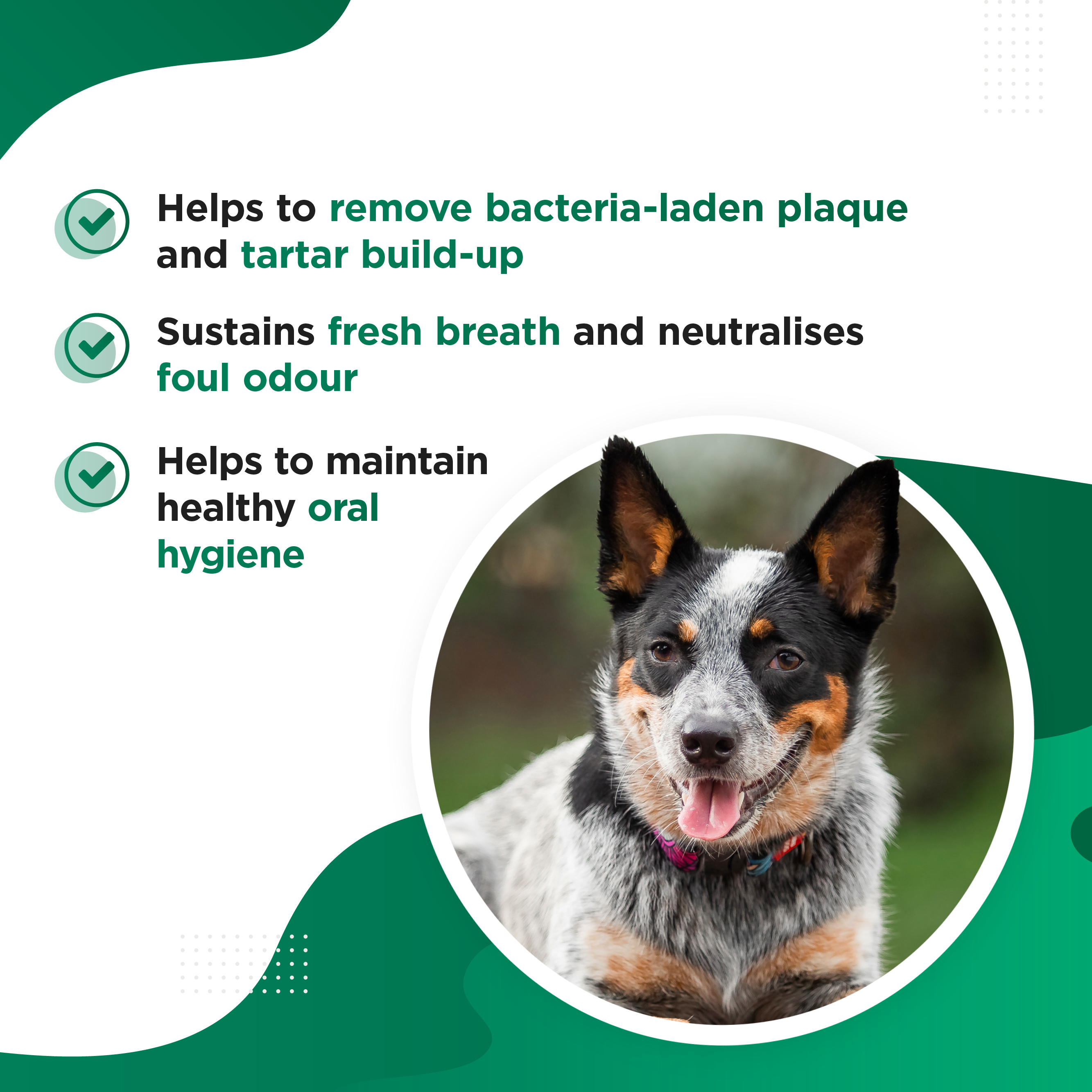 CHOMPER – Organic Tartar &amp; Plaque Remover for Dogs &amp; Puppies
