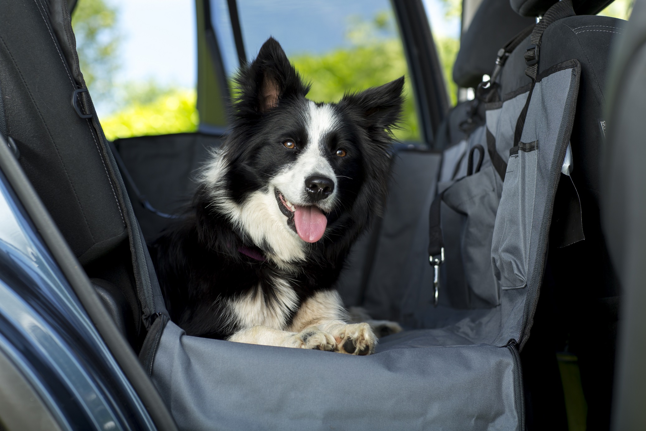 Henry Wag Pet Car hammock
