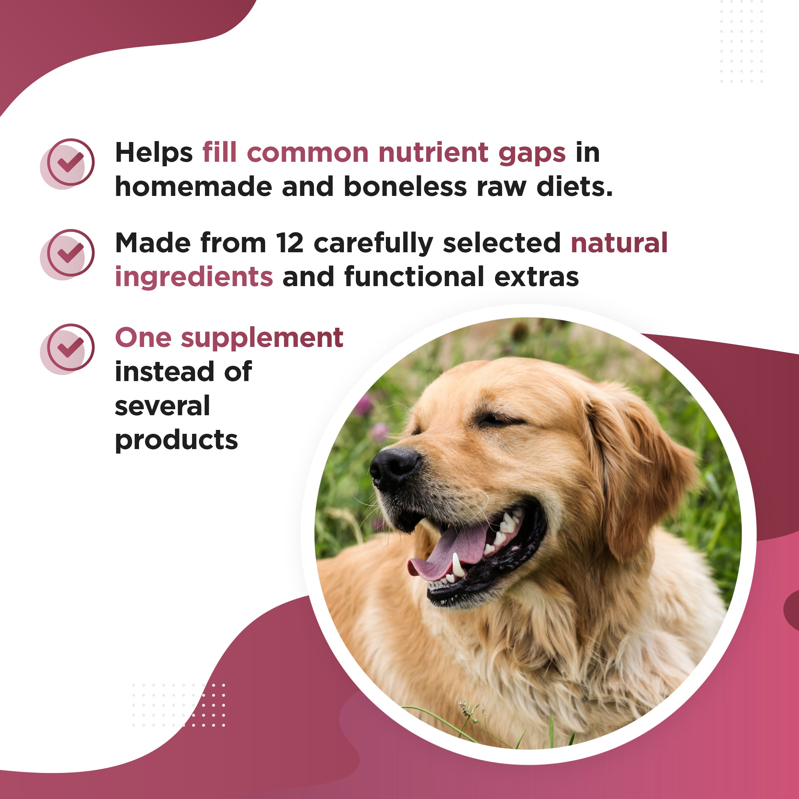 OLLI – All-in-One Homemade Diet Supplement for Dogs (1kg)