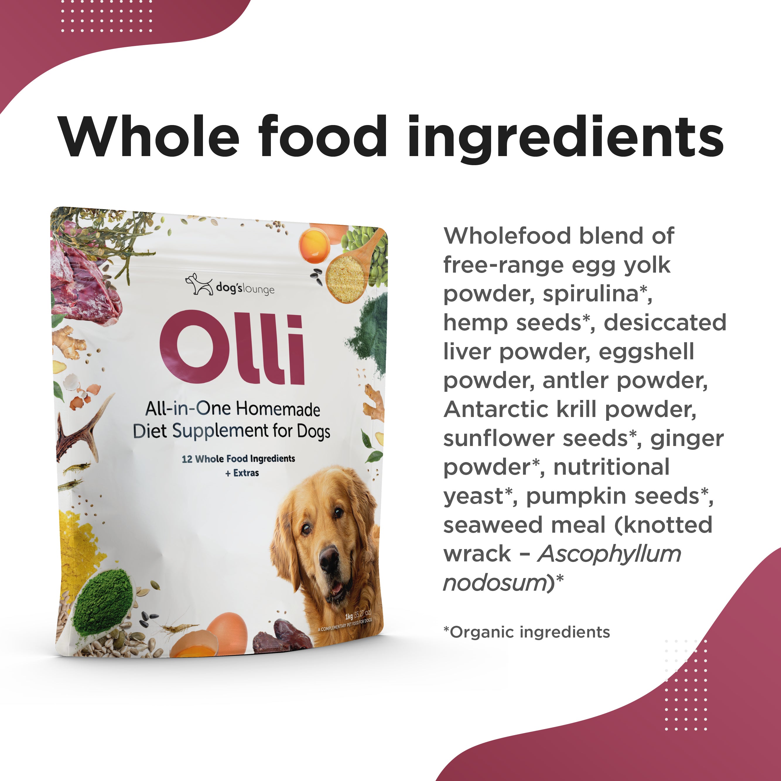 OLLI – All-in-One Homemade Diet Supplement for Dogs (1kg)