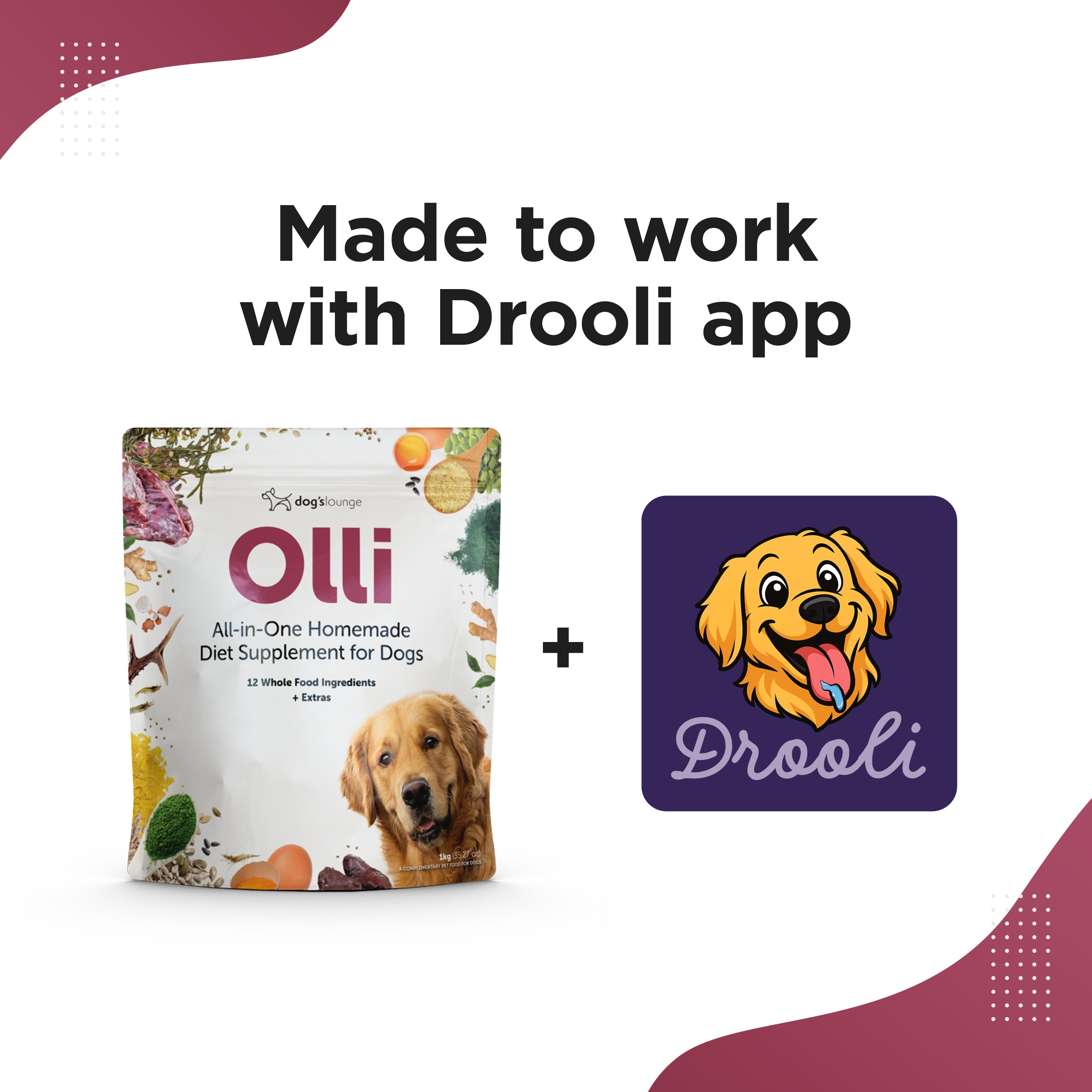 OLLI – All-in-One Homemade Diet Supplement for Dogs (1kg)