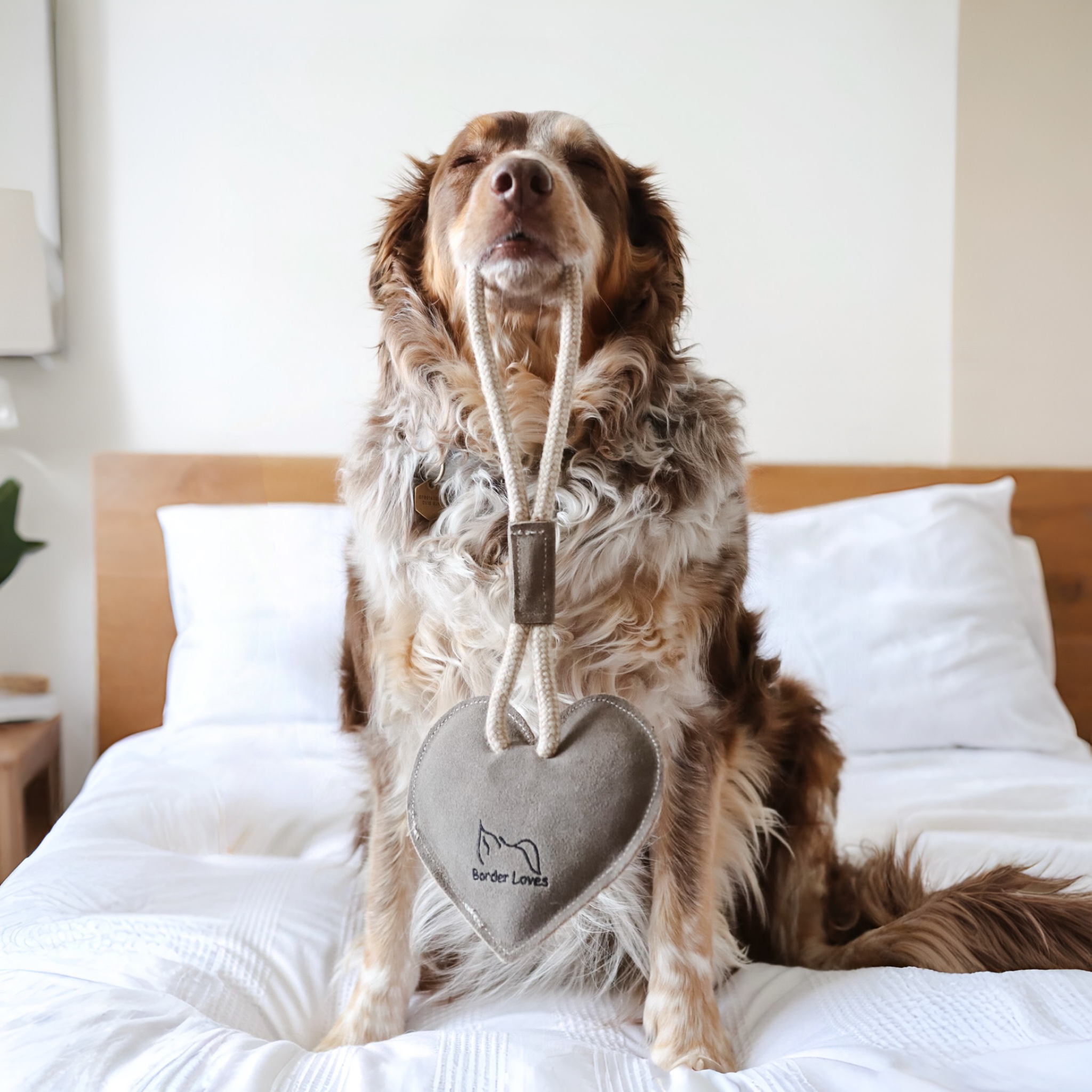 All Natural Eco Rope Heart Dog Toy