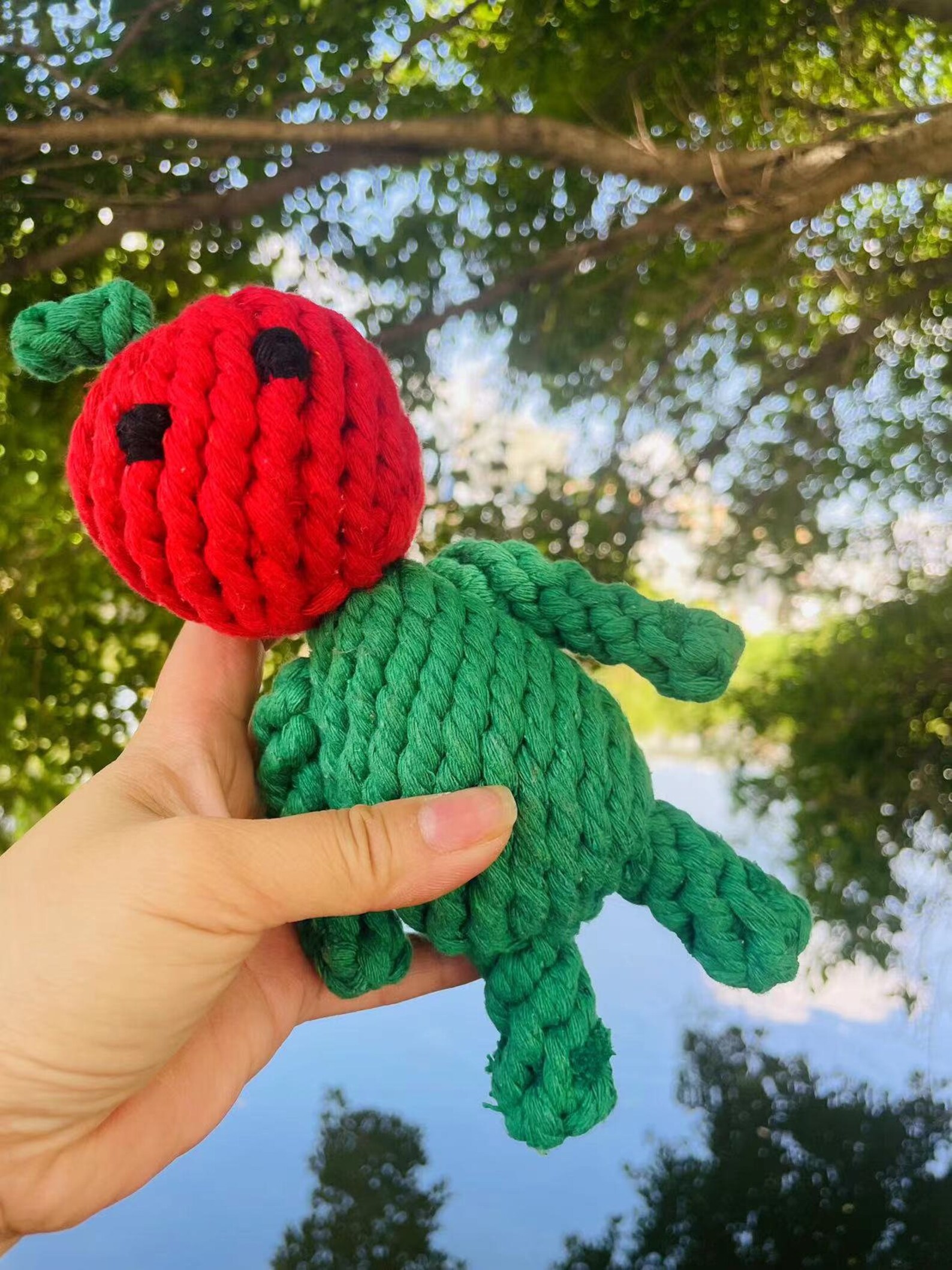 Apple Baby Rope Toys