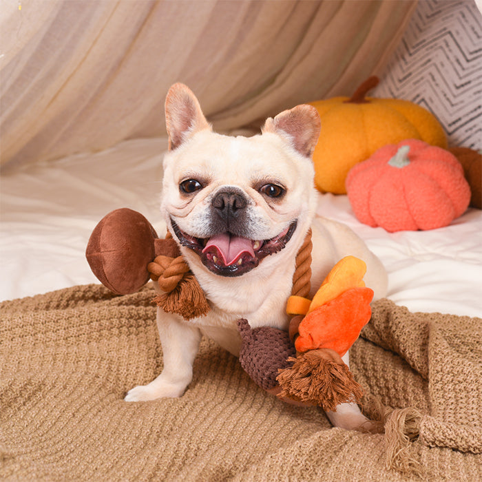 Autumn Tailz – Autumn Acorn