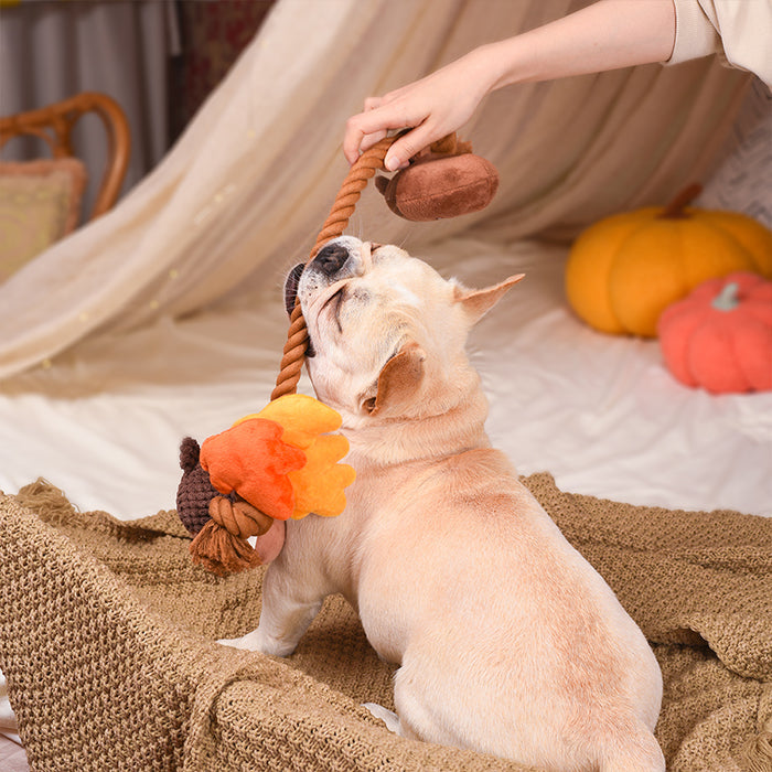 Autumn Tailz – Autumn Acorn
