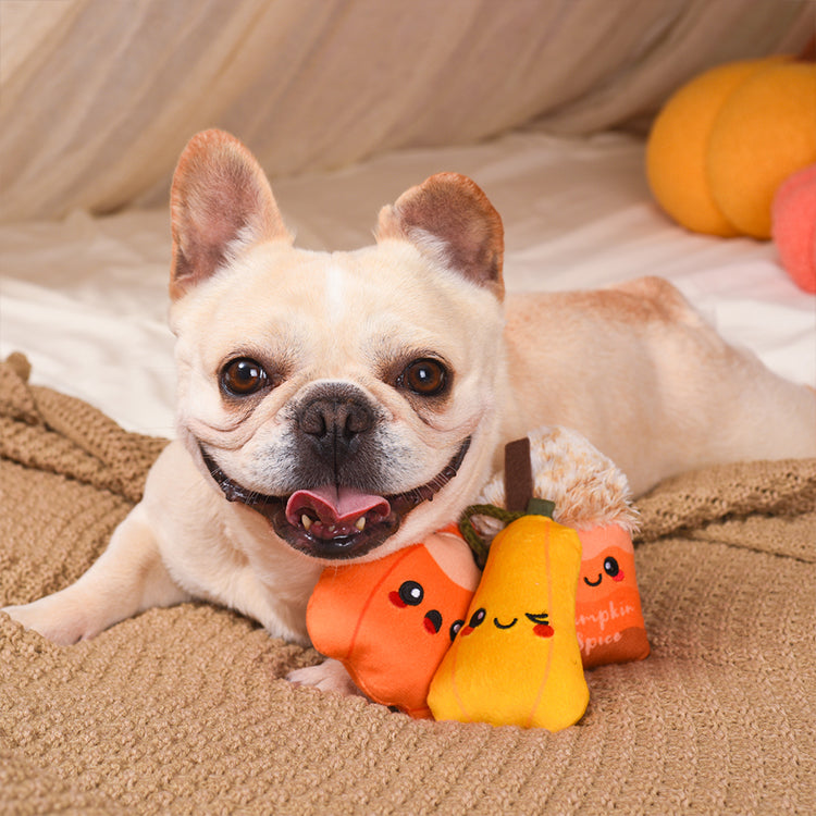 Autumn Tailz – Pumpkin Play