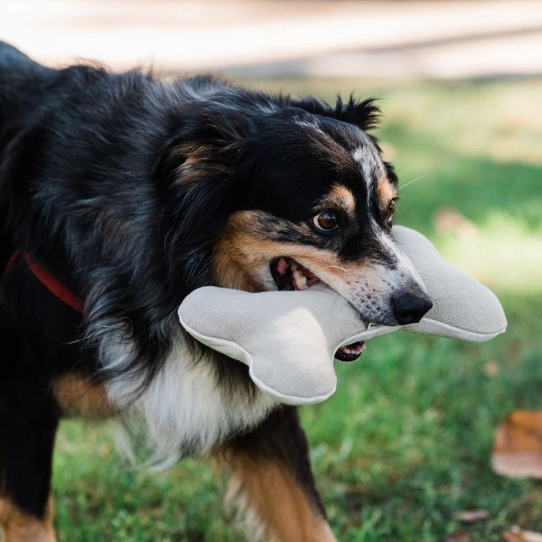 Boba &amp; Vespa Plush Hemp Dog Toy Bone for Gentle Chewers