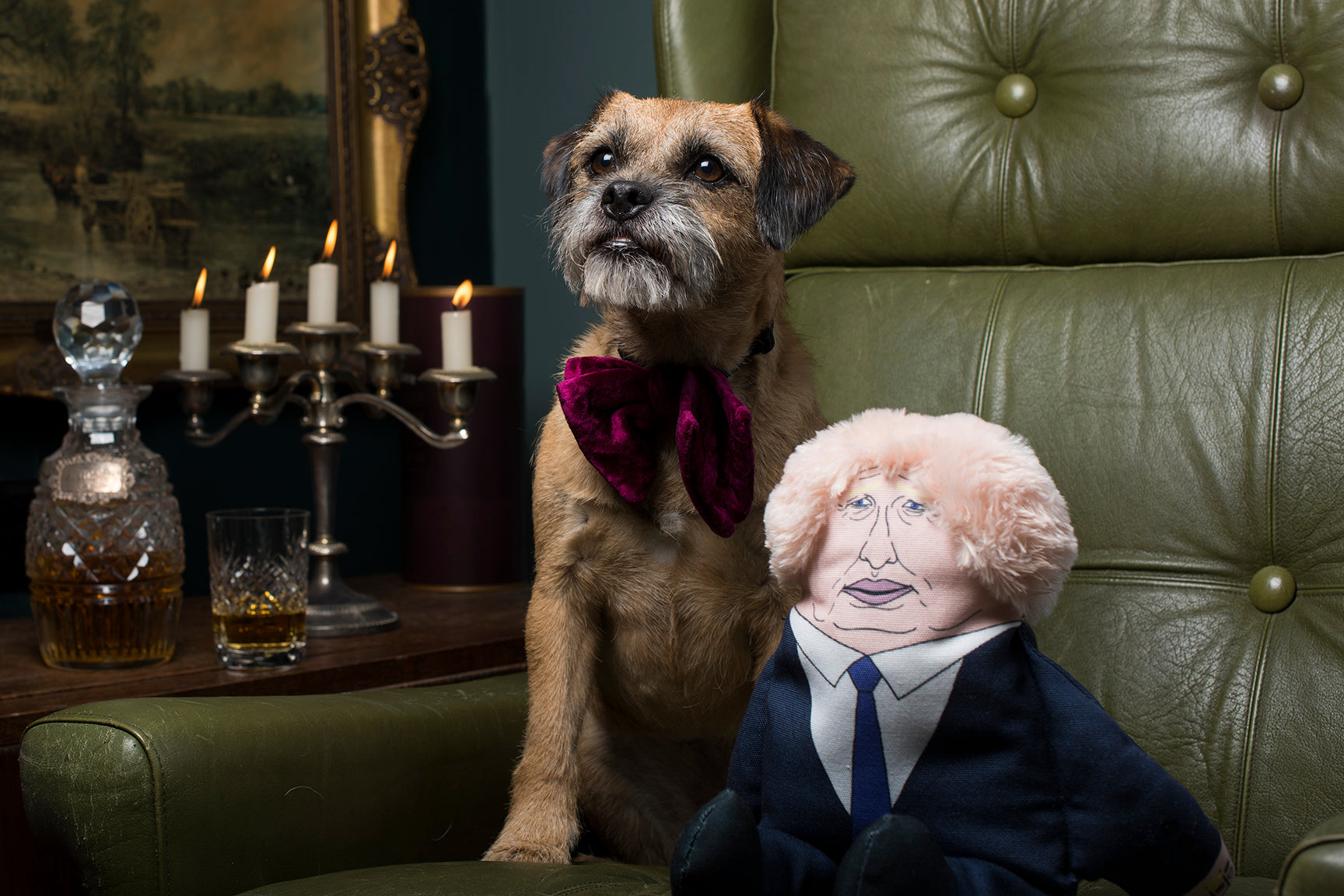 Boris dog toy