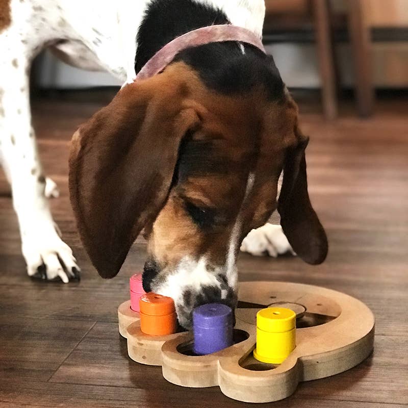 Brainiac Busy Paw™ Interactive Pet Toy